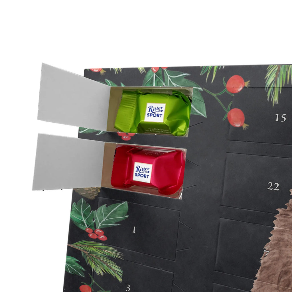 Chocolate advent calendar Hedgehog piece of cake gift ideas, gifts, small animals, good mood, cute, funny sayings, cute animal motives, hand drawn, special gifts, card, animal lover, birthday cake, invitation party, bake cake, food saying, baking gift, cake