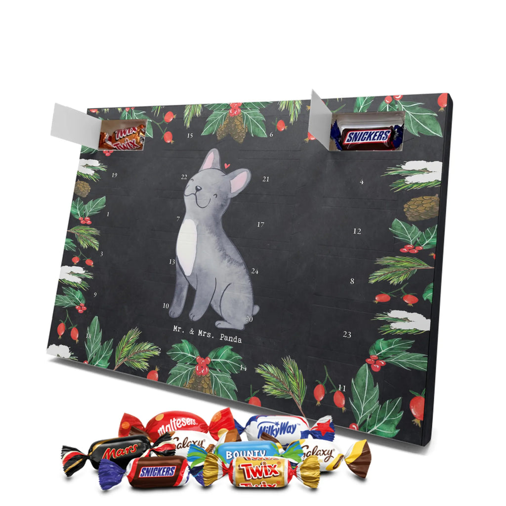 Schokoladen Adventskalender Französische Bulldogge Moment schokokalender, adventskalender mit pralinen, Adventskalender Schokolade, adventskalender pralinen, schoko kalender, Schoko Adventskalender, weihnachtskalender schoko, pralinen adventskalender, adventskalender mit süßigkeiten, adventskalender süßigkeiten, adventskalender mit schokolade, Schokoladen Adventskalender, schoko weihnachtskalender, süßigkeiten kalender, schokoladen kalender, kalender schokolade, schokoladenkalender, schokolade adventskalender, Weihnachtskalender Schokolade, advent kalender, Weihnachtskalender, Adventskalender, süßigkeiten adventskalender, Welpe, Tierfreund, Hundebesitzer, Rassehund, Hunderasse, Hund, Schenken, Geschenk, Französische Bulldogge