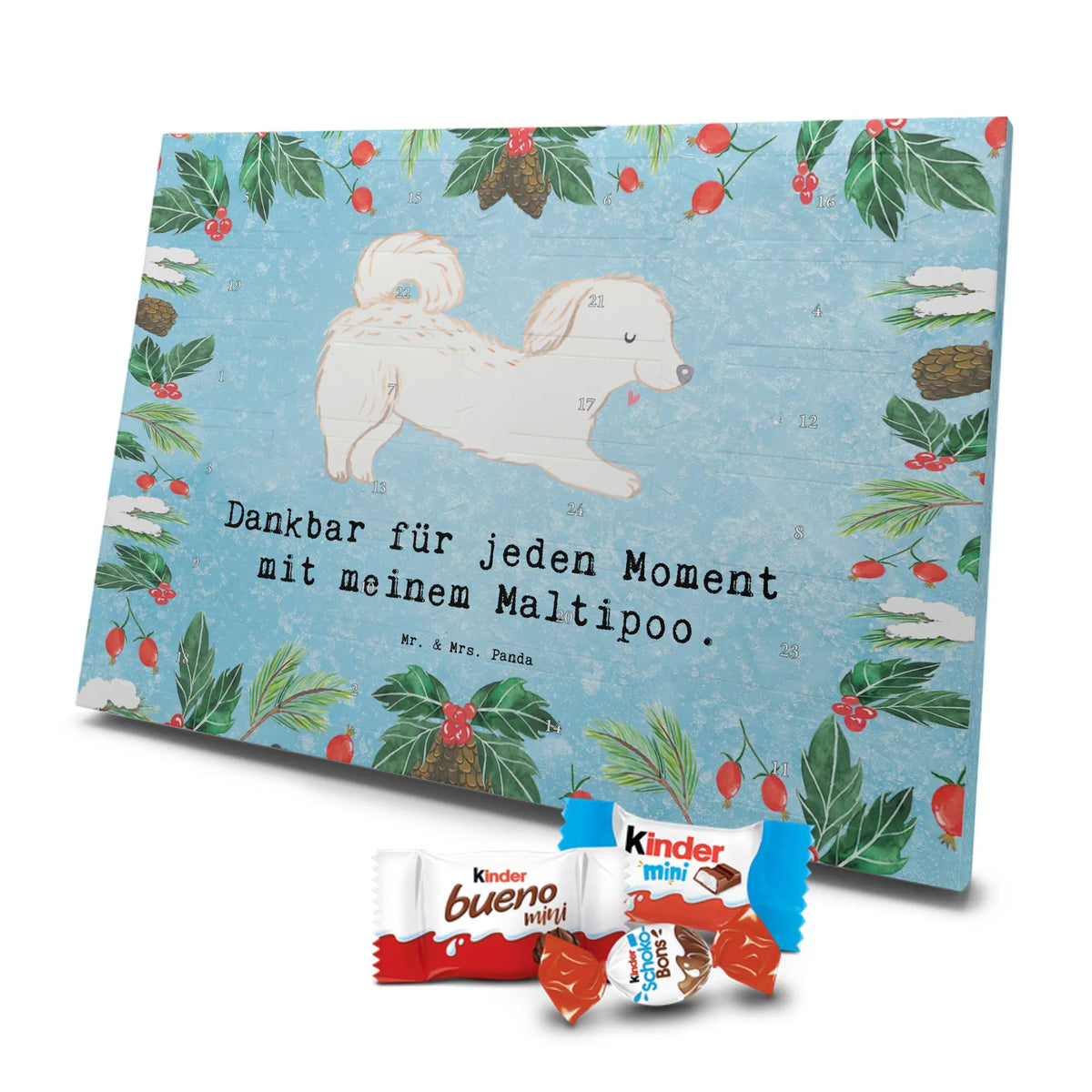  Maltipoo Chwila szczeniak, Pies, dawanie, właściciel psa, rasa psa, miłośnik zwierząt, prezent, pies rasowy