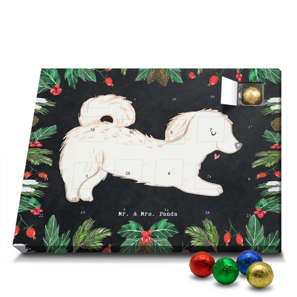 Adventskalender Maltipoo Moment weihnachtskalender schoko, adventskalender süßigkeiten, pralinen adventskalender, schokoladen kalender, Adventskalender, schoko weihnachtskalender, schokokalender, adventskalender mit schokolade, schokolade adventskalender, adventskalender mit pralinen, Weihnachtskalender Schokolade, Weihnachtskalender, adventskalender pralinen, Schokoladen Adventskalender, kalender schokolade, schoko kalender, Adventskalender Schokolade, advent kalender, Schoko Adventskalender, süßigkeiten adventskalender, adventskalender mit süßigkeiten, süßigkeiten kalender, schokoladenkalender, Welpe, Tierfreund, Hundebesitzer, Rassehund, Hunderasse, Hund, Schenken, Geschenk, Kreuzung, Maltipoo, Mischling