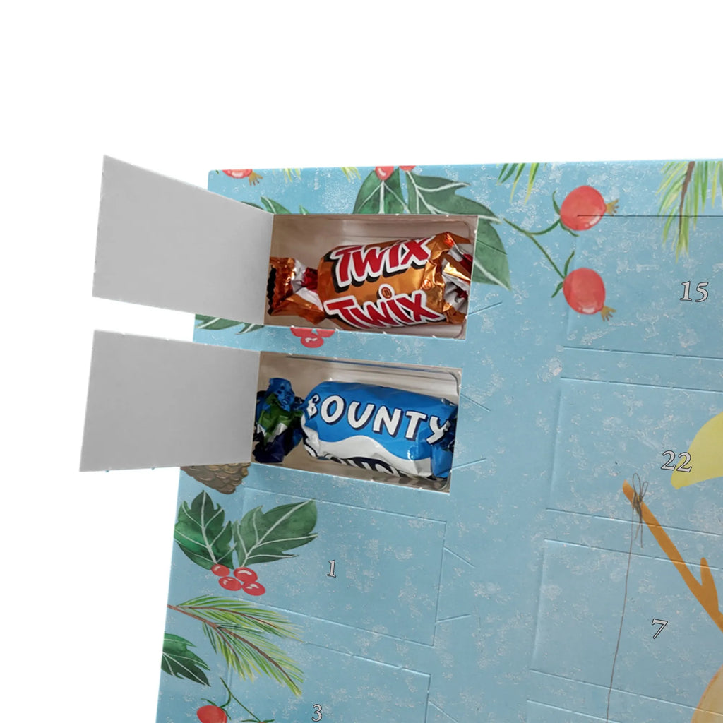 Chocolate advent calendar Penguin moon North Pole, Penguins, bedroom, night's rest, falling asleep, insomnia, guest room, sleep, penguins, saying