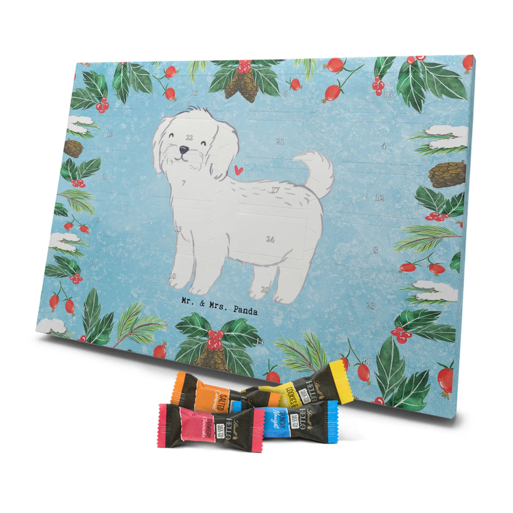  Maltańczyk Chwila szczeniak, miłośnik zwierząt, właściciel psa, pies rasowy, rasa psa, Pies, prezent, dawanie