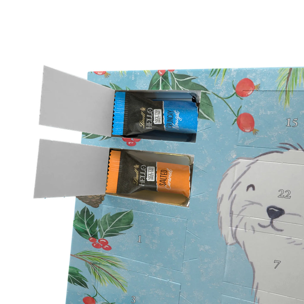  Maltańczyk Chwila szczeniak, miłośnik zwierząt, właściciel psa, pies rasowy, rasa psa, Pies, prezent, dawanie