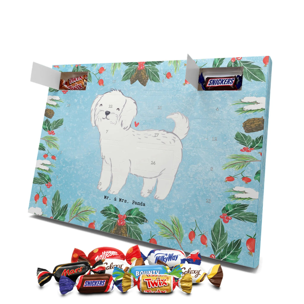  Maltańczyk Chwila szczeniak, miłośnik zwierząt, właściciel psa, pies rasowy, rasa psa, Pies, prezent, dawanie