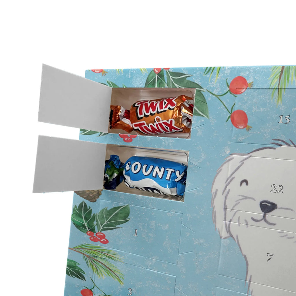  Maltańczyk Chwila szczeniak, miłośnik zwierząt, właściciel psa, pies rasowy, rasa psa, Pies, prezent, dawanie