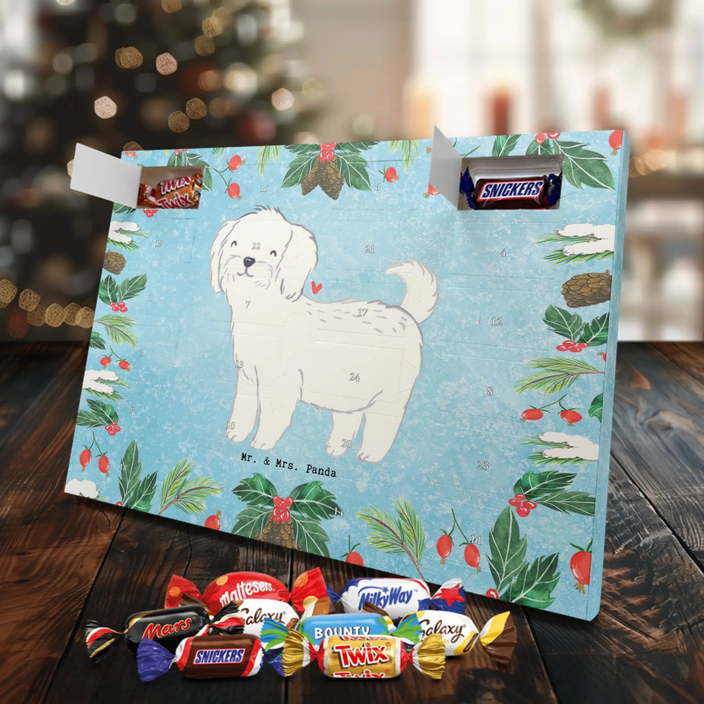  Maltańczyk Chwila szczeniak, miłośnik zwierząt, właściciel psa, pies rasowy, rasa psa, Pies, prezent, dawanie