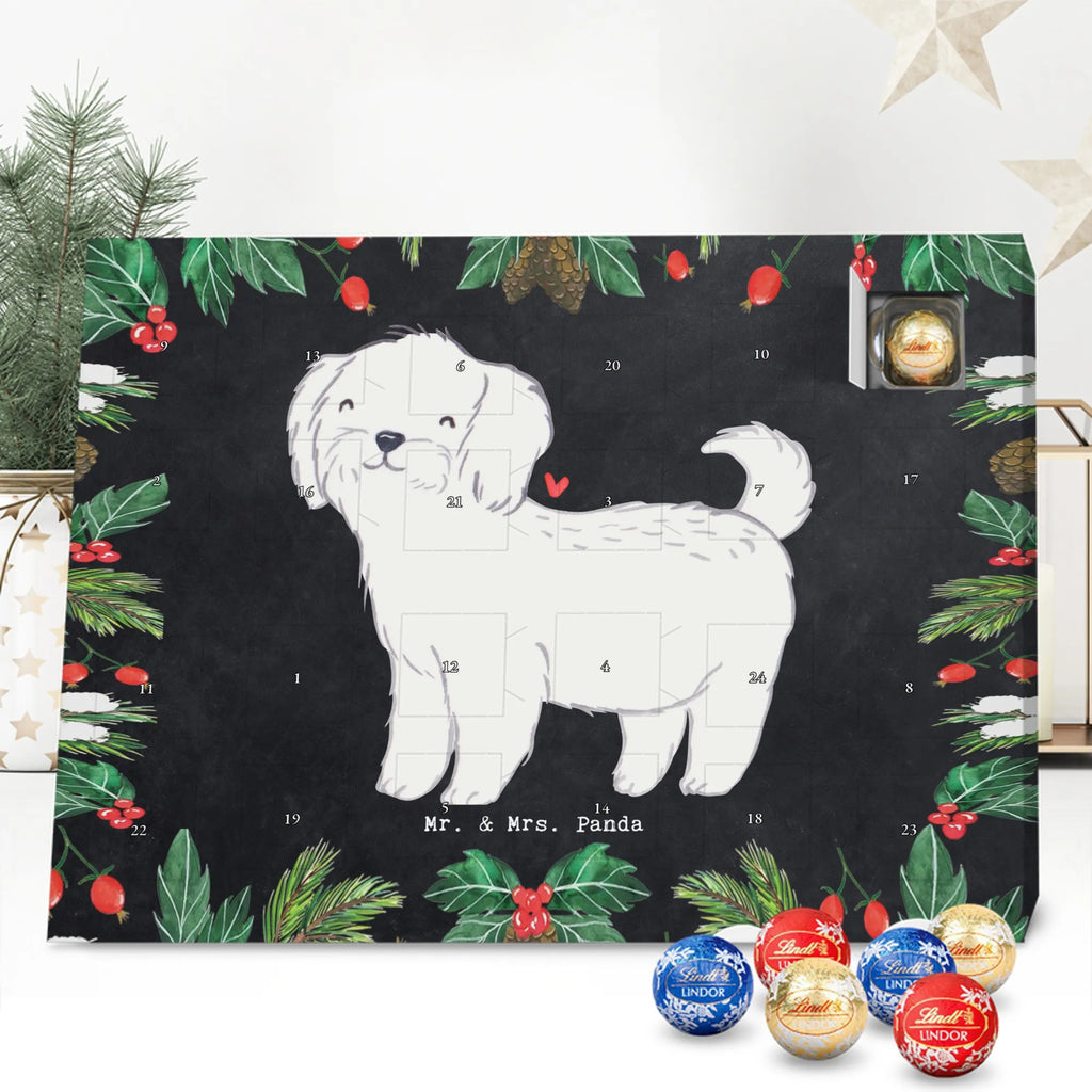  Maltańczyk Chwila szczeniak, miłośnik zwierząt, właściciel psa, pies rasowy, rasa psa, Pies, prezent, dawanie