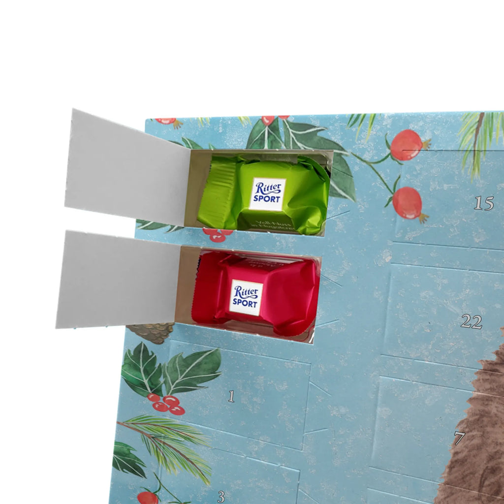 Chocolate advent calendar Hedgehog piece of cake gift ideas, gifts, small animals, good mood, cute, funny sayings, cute animal motives, hand drawn, special gifts, card, animal lover, birthday cake, invitation party, bake cake, food saying, baking gift, cake