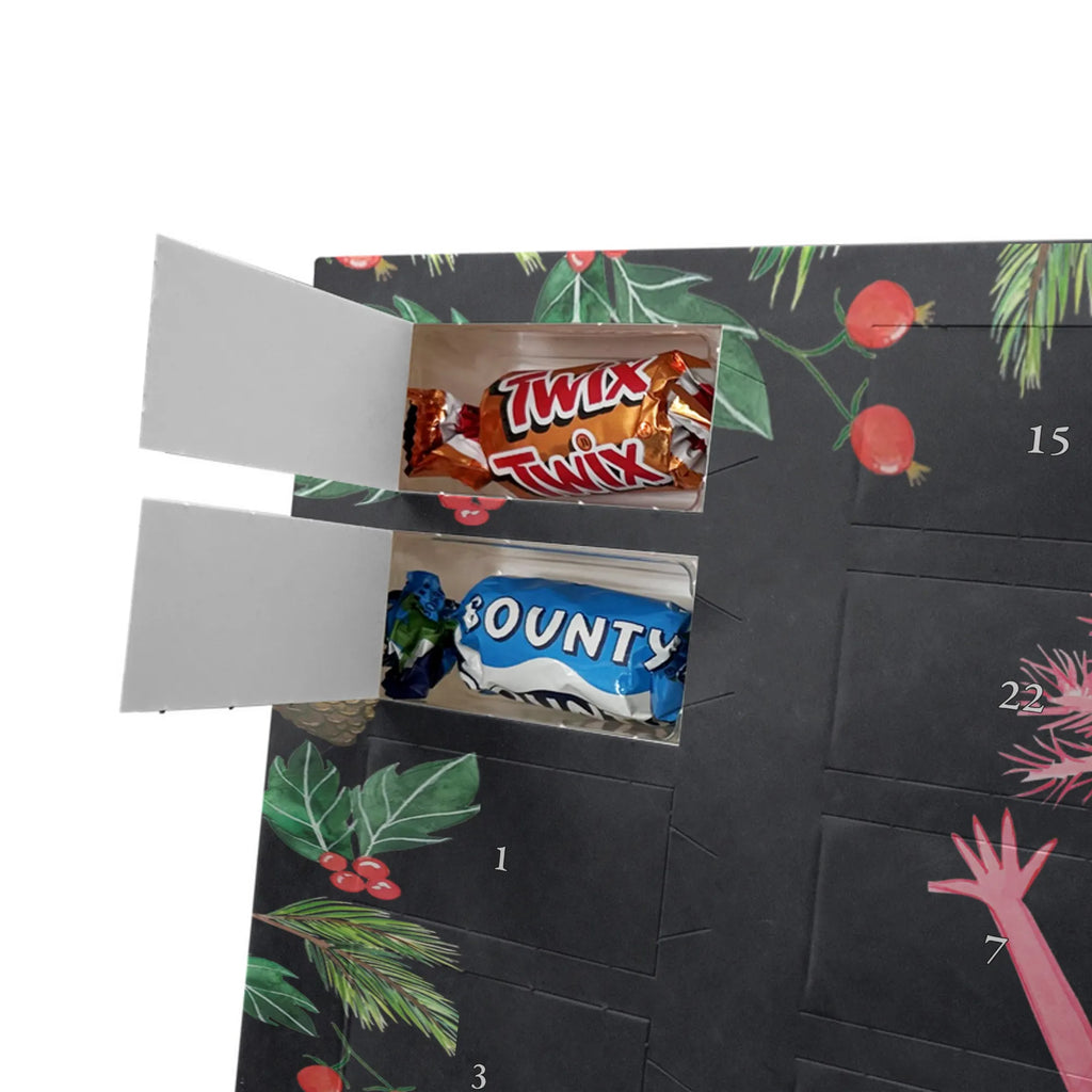  Axolotl Hurra Axolotl, Molch