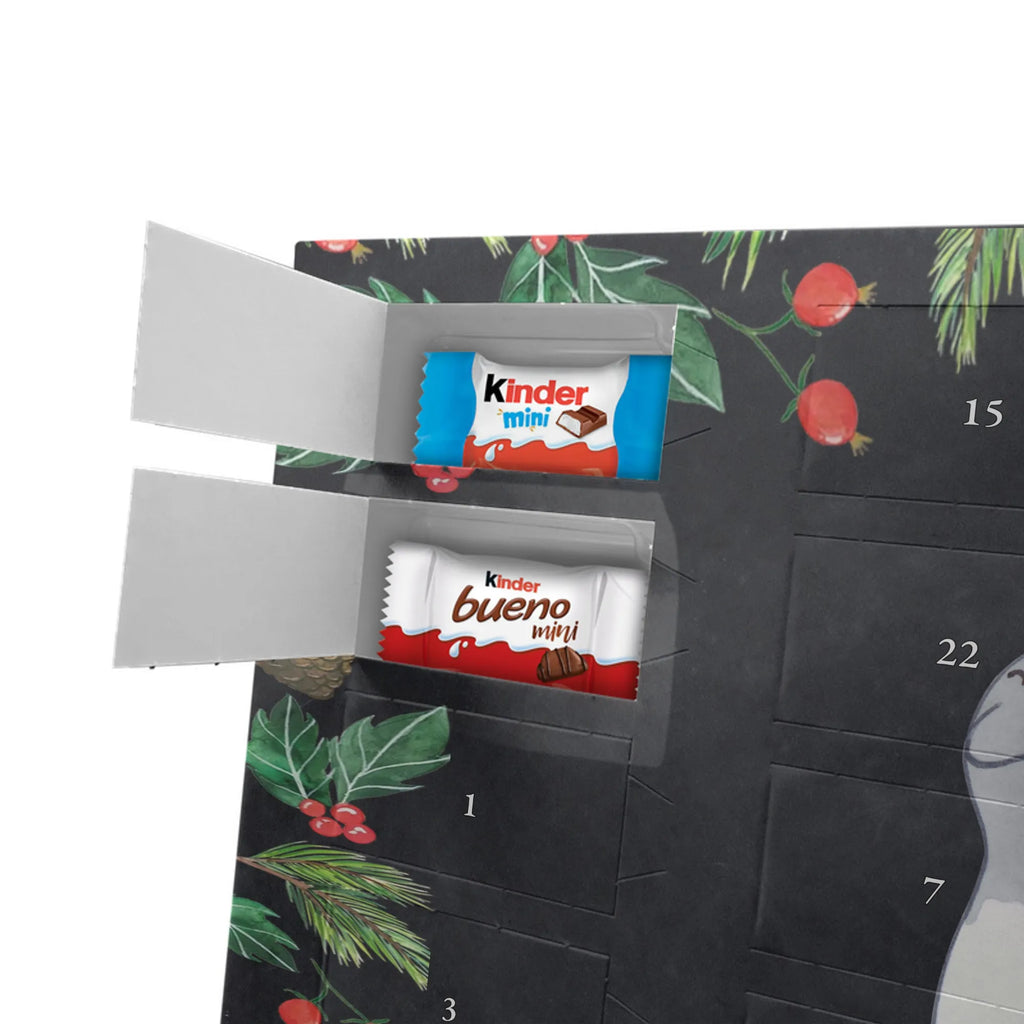 Schokoladen Adventskalender Französische Bulldogge Moment schokokalender, adventskalender mit pralinen, Adventskalender Schokolade, adventskalender pralinen, schoko kalender, Schoko Adventskalender, weihnachtskalender schoko, pralinen adventskalender, adventskalender mit süßigkeiten, adventskalender süßigkeiten, adventskalender mit schokolade, Schokoladen Adventskalender, schoko weihnachtskalender, süßigkeiten kalender, schokoladen kalender, kalender schokolade, schokoladenkalender, schokolade adventskalender, Weihnachtskalender Schokolade, advent kalender, Weihnachtskalender, Adventskalender, süßigkeiten adventskalender, Welpe, Tierfreund, Hundebesitzer, Rassehund, Hunderasse, Hund, Schenken, Geschenk, Französische Bulldogge