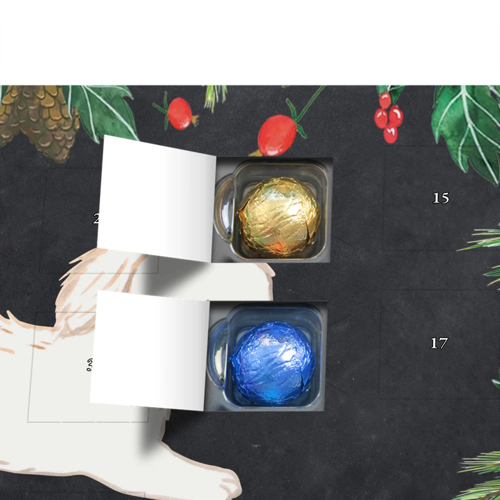 Adventskalender Maltipoo Moment weihnachtskalender schoko, adventskalender süßigkeiten, pralinen adventskalender, schokoladen kalender, Adventskalender, schoko weihnachtskalender, schokokalender, adventskalender mit schokolade, schokolade adventskalender, adventskalender mit pralinen, Weihnachtskalender Schokolade, Weihnachtskalender, adventskalender pralinen, Schokoladen Adventskalender, kalender schokolade, schoko kalender, Adventskalender Schokolade, advent kalender, Schoko Adventskalender, süßigkeiten adventskalender, adventskalender mit süßigkeiten, süßigkeiten kalender, schokoladenkalender, Welpe, Tierfreund, Hundebesitzer, Rassehund, Hunderasse, Hund, Schenken, Geschenk, Kreuzung, Maltipoo, Mischling