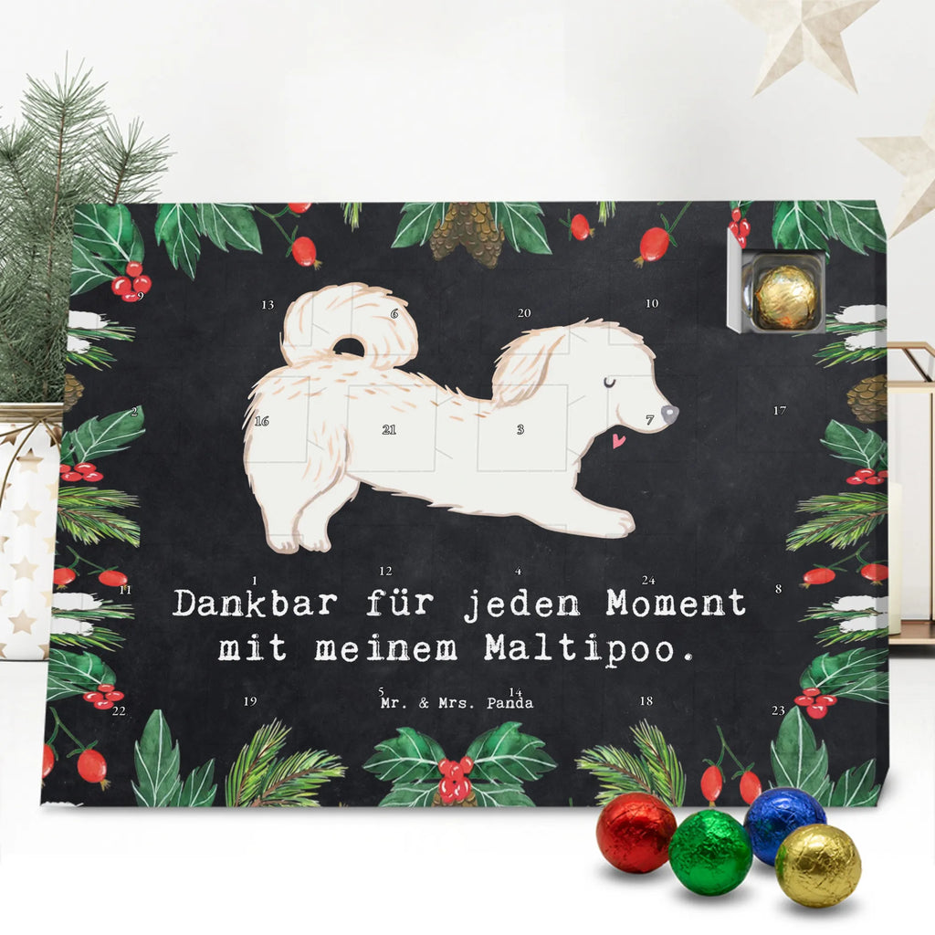 Adventskalender Maltipoo Moment weihnachtskalender schoko, adventskalender süßigkeiten, pralinen adventskalender, schokoladen kalender, Adventskalender, schoko weihnachtskalender, schokokalender, adventskalender mit schokolade, schokolade adventskalender, adventskalender mit pralinen, Weihnachtskalender Schokolade, Weihnachtskalender, adventskalender pralinen, Schokoladen Adventskalender, kalender schokolade, schoko kalender, Adventskalender Schokolade, advent kalender, Schoko Adventskalender, süßigkeiten adventskalender, adventskalender mit süßigkeiten, süßigkeiten kalender, schokoladenkalender, Welpe, Tierfreund, Hundebesitzer, Rassehund, Hunderasse, Hund, Schenken, Geschenk, Kreuzung, Maltipoo, Mischling
