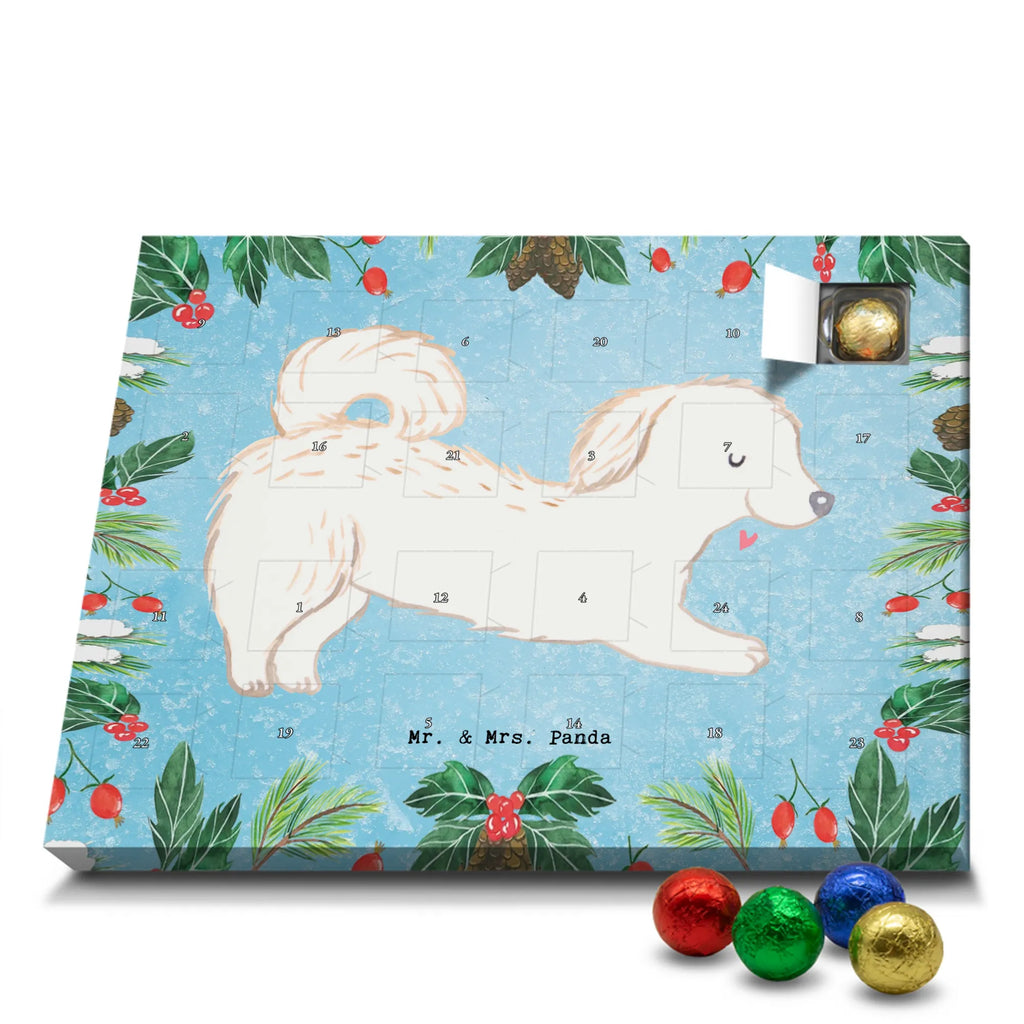 Adventskalender Maltipoo Moment weihnachtskalender schoko, adventskalender süßigkeiten, pralinen adventskalender, schokoladen kalender, Adventskalender, schoko weihnachtskalender, schokokalender, adventskalender mit schokolade, schokolade adventskalender, adventskalender mit pralinen, Weihnachtskalender Schokolade, Weihnachtskalender, adventskalender pralinen, Schokoladen Adventskalender, kalender schokolade, schoko kalender, Adventskalender Schokolade, advent kalender, Schoko Adventskalender, süßigkeiten adventskalender, adventskalender mit süßigkeiten, süßigkeiten kalender, schokoladenkalender, Welpe, Tierfreund, Hundebesitzer, Rassehund, Hunderasse, Hund, Schenken, Geschenk, Kreuzung, Maltipoo, Mischling