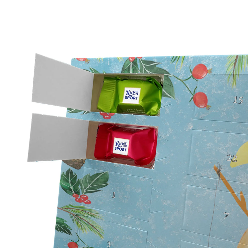 Chocolate advent calendar Penguin moon North Pole, Penguins, bedroom, night's rest, falling asleep, insomnia, guest room, sleep, penguins, saying