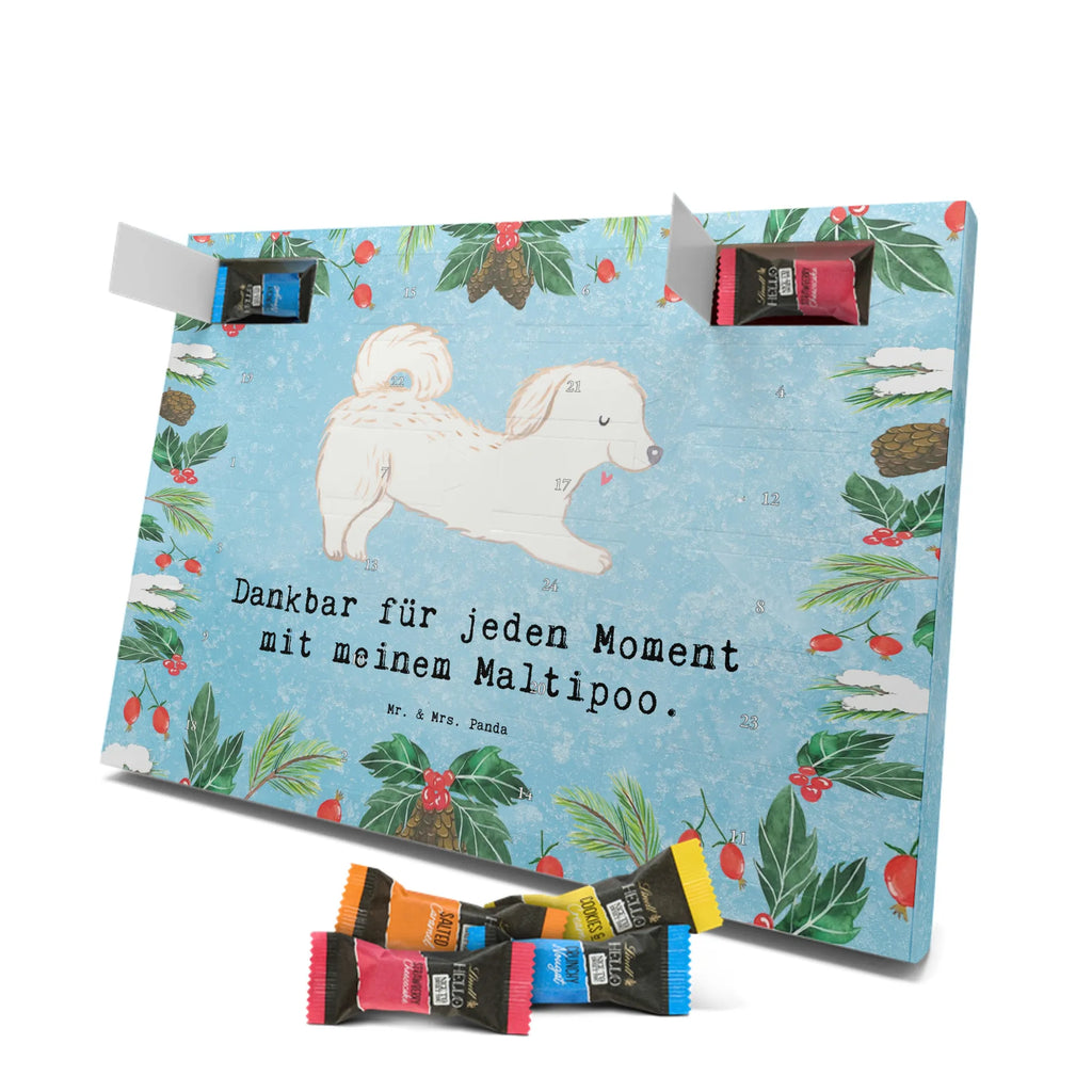 Adventskalender Maltipoo Moment weihnachtskalender schoko, adventskalender süßigkeiten, pralinen adventskalender, schokoladen kalender, Adventskalender, schoko weihnachtskalender, schokokalender, adventskalender mit schokolade, schokolade adventskalender, adventskalender mit pralinen, Weihnachtskalender Schokolade, Weihnachtskalender, adventskalender pralinen, Schokoladen Adventskalender, kalender schokolade, schoko kalender, Adventskalender Schokolade, advent kalender, Schoko Adventskalender, süßigkeiten adventskalender, adventskalender mit süßigkeiten, süßigkeiten kalender, schokoladenkalender, Welpe, Tierfreund, Hundebesitzer, Rassehund, Hunderasse, Hund, Schenken, Geschenk, Kreuzung, Maltipoo, Mischling