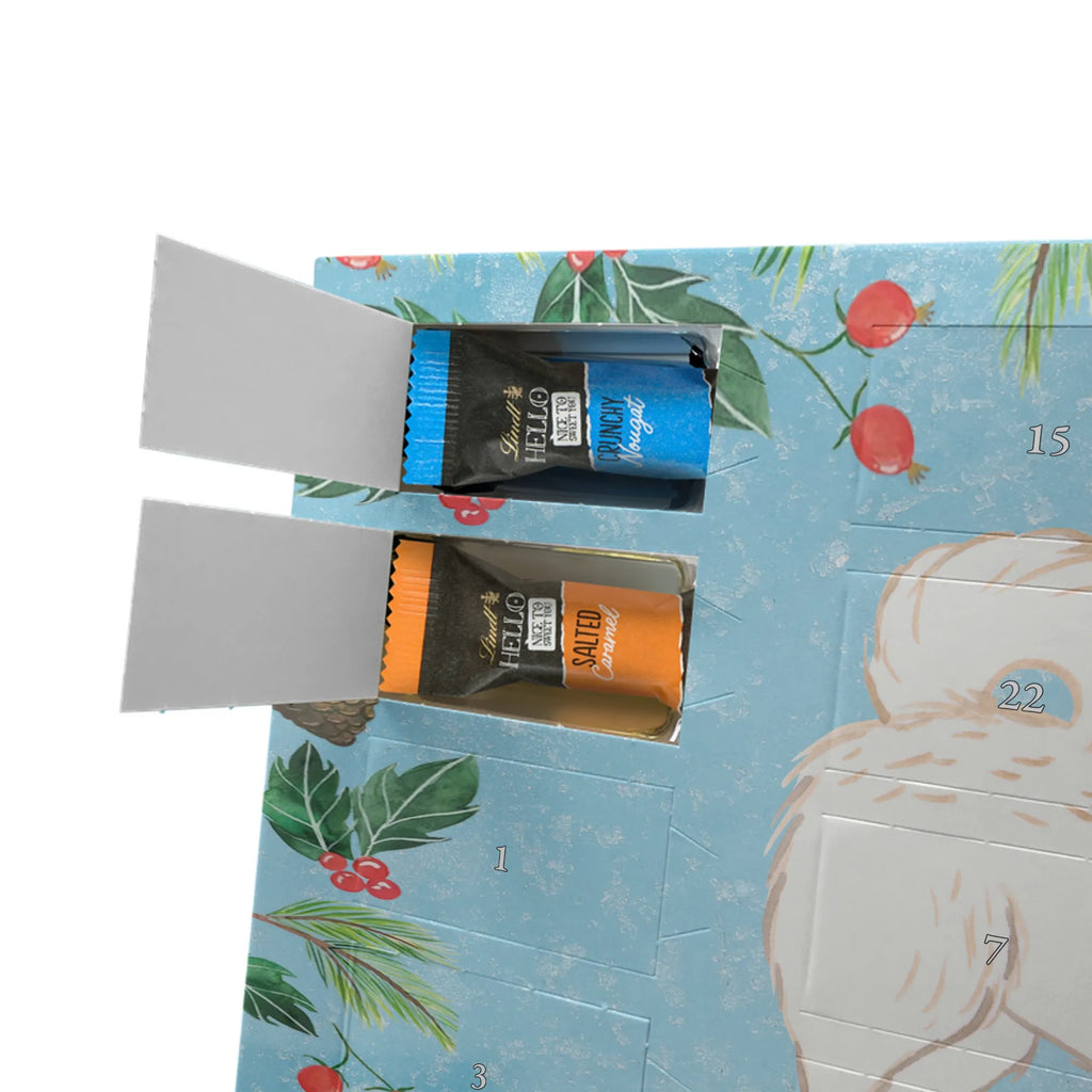 Adventskalender Maltipoo Moment weihnachtskalender schoko, adventskalender süßigkeiten, pralinen adventskalender, schokoladen kalender, Adventskalender, schoko weihnachtskalender, schokokalender, adventskalender mit schokolade, schokolade adventskalender, adventskalender mit pralinen, Weihnachtskalender Schokolade, Weihnachtskalender, adventskalender pralinen, Schokoladen Adventskalender, kalender schokolade, schoko kalender, Adventskalender Schokolade, advent kalender, Schoko Adventskalender, süßigkeiten adventskalender, adventskalender mit süßigkeiten, süßigkeiten kalender, schokoladenkalender, Welpe, Tierfreund, Hundebesitzer, Rassehund, Hunderasse, Hund, Schenken, Geschenk, Kreuzung, Maltipoo, Mischling