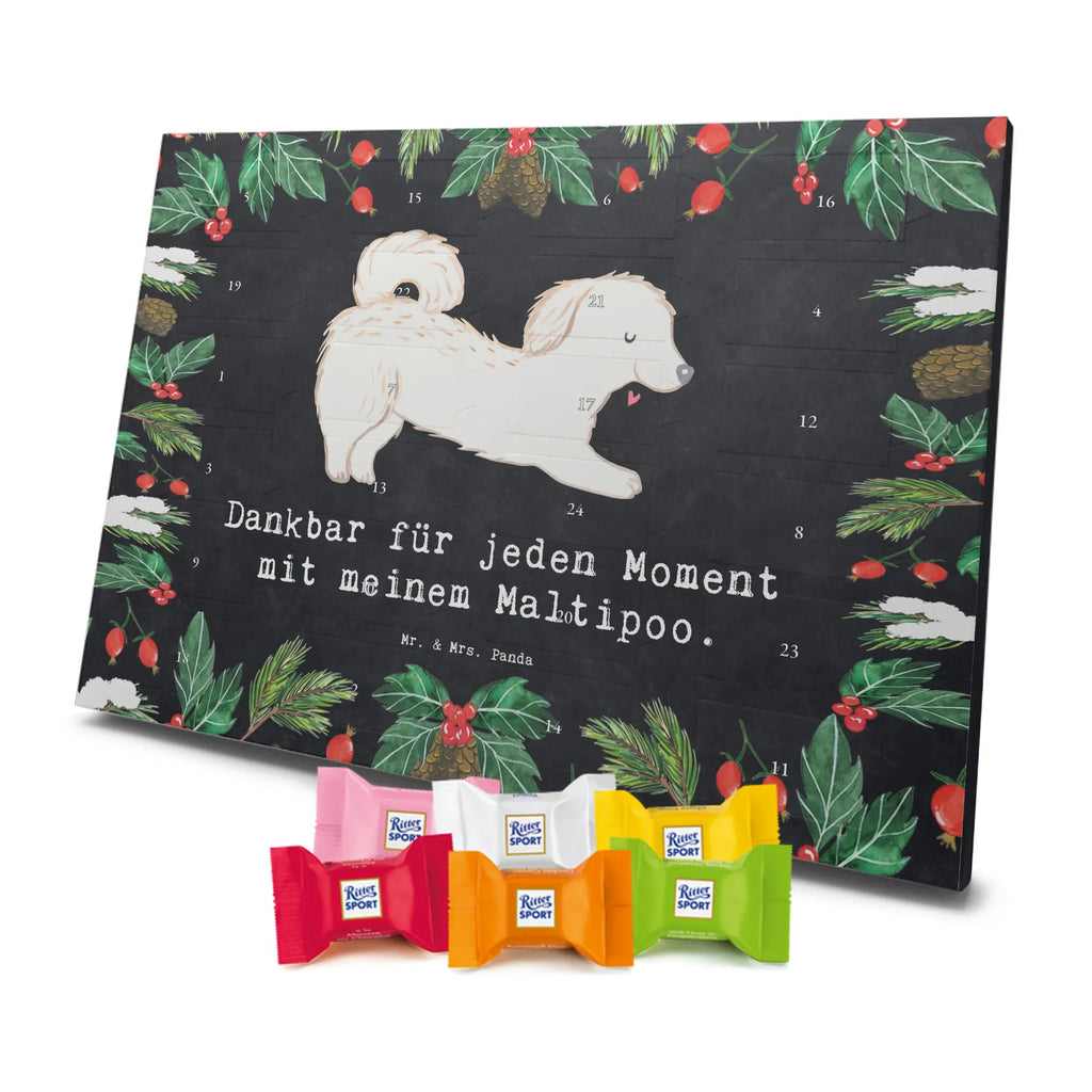 Adventskalender Maltipoo Moment weihnachtskalender schoko, adventskalender süßigkeiten, pralinen adventskalender, schokoladen kalender, Adventskalender, schoko weihnachtskalender, schokokalender, adventskalender mit schokolade, schokolade adventskalender, adventskalender mit pralinen, Weihnachtskalender Schokolade, Weihnachtskalender, adventskalender pralinen, Schokoladen Adventskalender, kalender schokolade, schoko kalender, Adventskalender Schokolade, advent kalender, Schoko Adventskalender, süßigkeiten adventskalender, adventskalender mit süßigkeiten, süßigkeiten kalender, schokoladenkalender, Welpe, Tierfreund, Hundebesitzer, Rassehund, Hunderasse, Hund, Schenken, Geschenk, Kreuzung, Maltipoo, Mischling