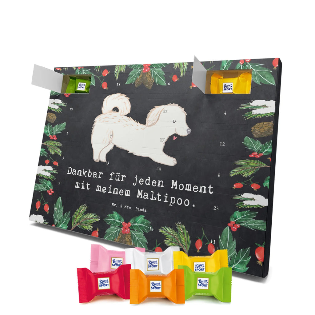 Adventskalender Maltipoo Moment weihnachtskalender schoko, adventskalender süßigkeiten, pralinen adventskalender, schokoladen kalender, Adventskalender, schoko weihnachtskalender, schokokalender, adventskalender mit schokolade, schokolade adventskalender, adventskalender mit pralinen, Weihnachtskalender Schokolade, Weihnachtskalender, adventskalender pralinen, Schokoladen Adventskalender, kalender schokolade, schoko kalender, Adventskalender Schokolade, advent kalender, Schoko Adventskalender, süßigkeiten adventskalender, adventskalender mit süßigkeiten, süßigkeiten kalender, schokoladenkalender, Welpe, Tierfreund, Hundebesitzer, Rassehund, Hunderasse, Hund, Schenken, Geschenk, Kreuzung, Maltipoo, Mischling
