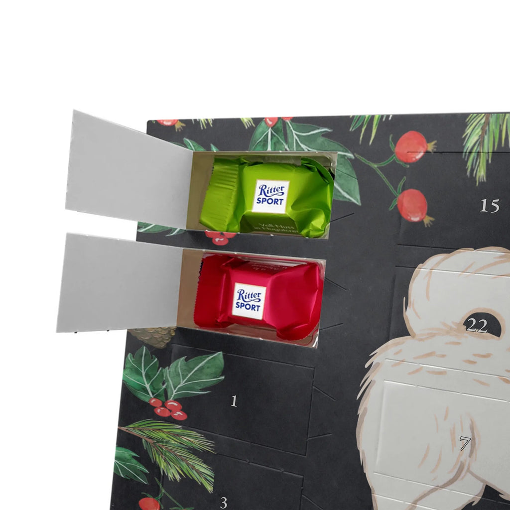 Adventskalender Maltipoo Moment weihnachtskalender schoko, adventskalender süßigkeiten, pralinen adventskalender, schokoladen kalender, Adventskalender, schoko weihnachtskalender, schokokalender, adventskalender mit schokolade, schokolade adventskalender, adventskalender mit pralinen, Weihnachtskalender Schokolade, Weihnachtskalender, adventskalender pralinen, Schokoladen Adventskalender, kalender schokolade, schoko kalender, Adventskalender Schokolade, advent kalender, Schoko Adventskalender, süßigkeiten adventskalender, adventskalender mit süßigkeiten, süßigkeiten kalender, schokoladenkalender, Welpe, Tierfreund, Hundebesitzer, Rassehund, Hunderasse, Hund, Schenken, Geschenk, Kreuzung, Maltipoo, Mischling