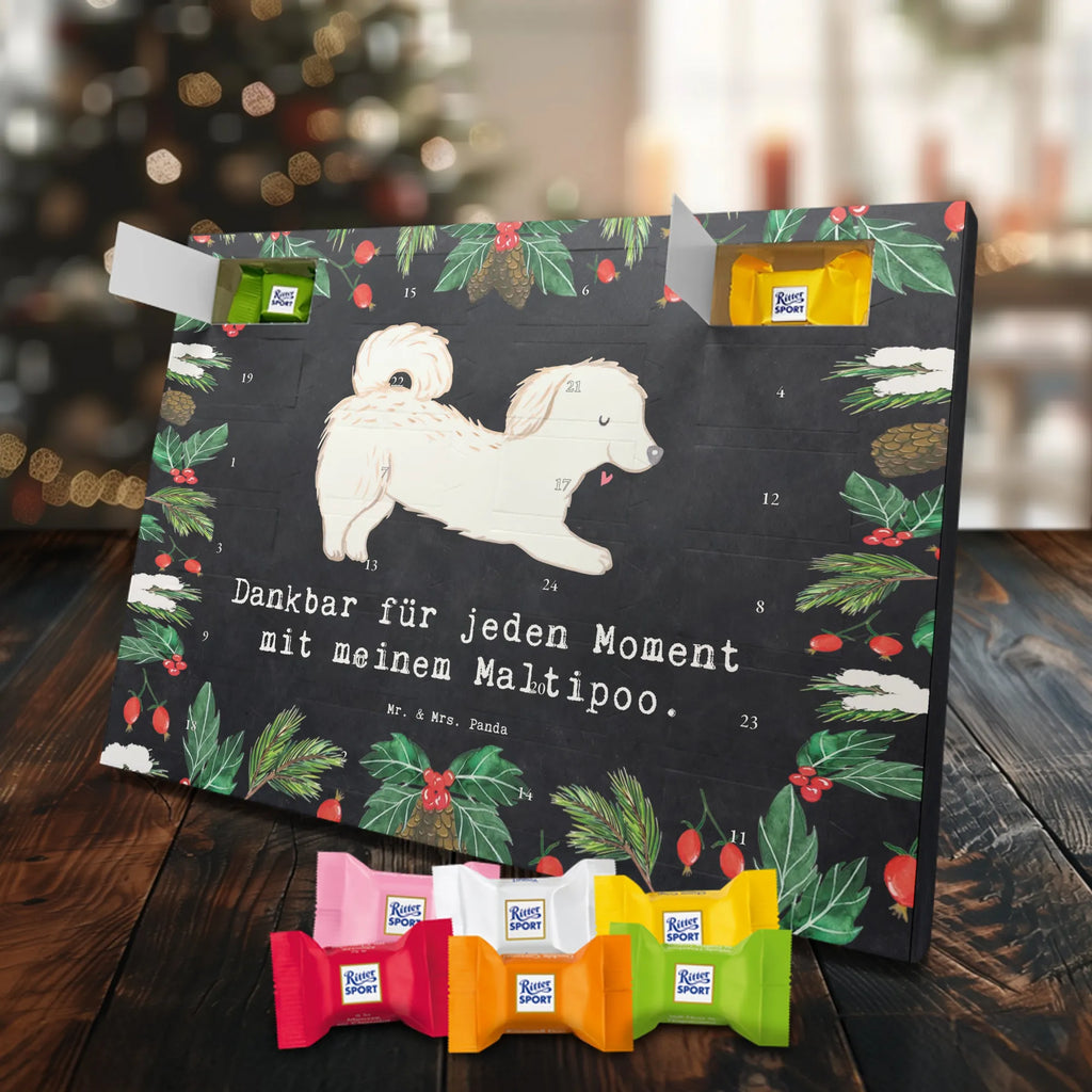 Adventskalender Maltipoo Moment weihnachtskalender schoko, adventskalender süßigkeiten, pralinen adventskalender, schokoladen kalender, Adventskalender, schoko weihnachtskalender, schokokalender, adventskalender mit schokolade, schokolade adventskalender, adventskalender mit pralinen, Weihnachtskalender Schokolade, Weihnachtskalender, adventskalender pralinen, Schokoladen Adventskalender, kalender schokolade, schoko kalender, Adventskalender Schokolade, advent kalender, Schoko Adventskalender, süßigkeiten adventskalender, adventskalender mit süßigkeiten, süßigkeiten kalender, schokoladenkalender, Welpe, Tierfreund, Hundebesitzer, Rassehund, Hunderasse, Hund, Schenken, Geschenk, Kreuzung, Maltipoo, Mischling