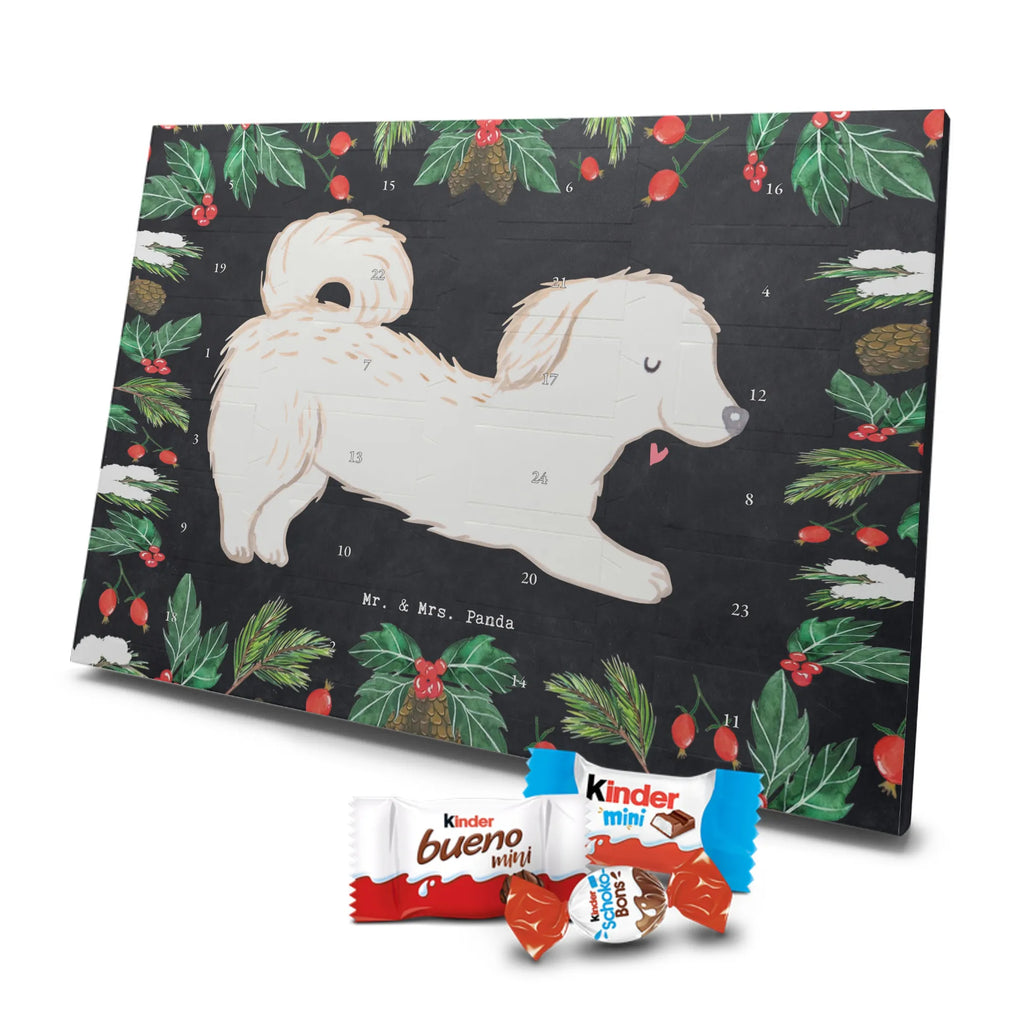 Adventskalender Maltipoo Moment weihnachtskalender schoko, adventskalender süßigkeiten, pralinen adventskalender, schokoladen kalender, Adventskalender, schoko weihnachtskalender, schokokalender, adventskalender mit schokolade, schokolade adventskalender, adventskalender mit pralinen, Weihnachtskalender Schokolade, Weihnachtskalender, adventskalender pralinen, Schokoladen Adventskalender, kalender schokolade, schoko kalender, Adventskalender Schokolade, advent kalender, Schoko Adventskalender, süßigkeiten adventskalender, adventskalender mit süßigkeiten, süßigkeiten kalender, schokoladenkalender, Welpe, Tierfreund, Hundebesitzer, Rassehund, Hunderasse, Hund, Schenken, Geschenk, Kreuzung, Maltipoo, Mischling