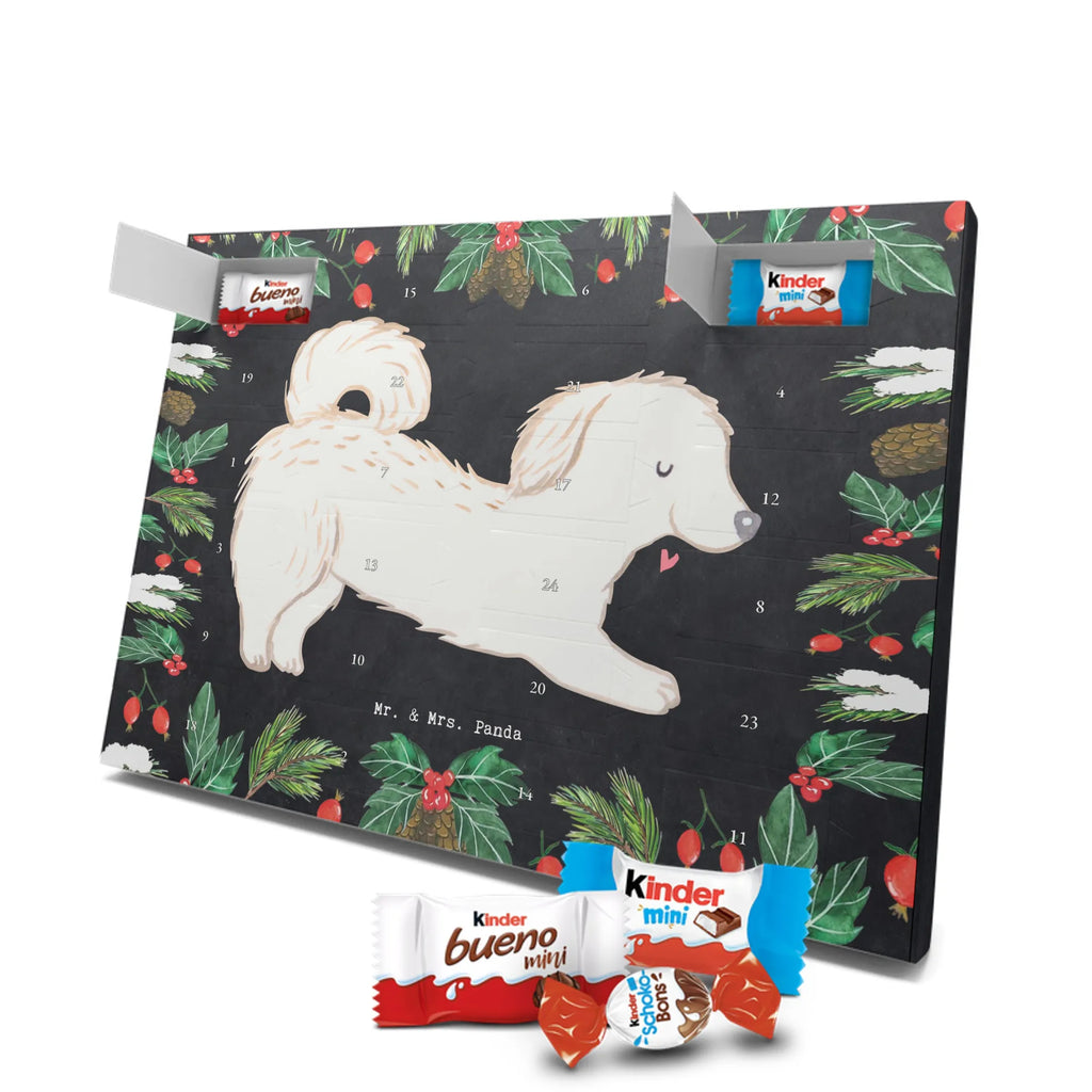 Adventskalender Maltipoo Moment weihnachtskalender schoko, adventskalender süßigkeiten, pralinen adventskalender, schokoladen kalender, Adventskalender, schoko weihnachtskalender, schokokalender, adventskalender mit schokolade, schokolade adventskalender, adventskalender mit pralinen, Weihnachtskalender Schokolade, Weihnachtskalender, adventskalender pralinen, Schokoladen Adventskalender, kalender schokolade, schoko kalender, Adventskalender Schokolade, advent kalender, Schoko Adventskalender, süßigkeiten adventskalender, adventskalender mit süßigkeiten, süßigkeiten kalender, schokoladenkalender, Welpe, Tierfreund, Hundebesitzer, Rassehund, Hunderasse, Hund, Schenken, Geschenk, Kreuzung, Maltipoo, Mischling