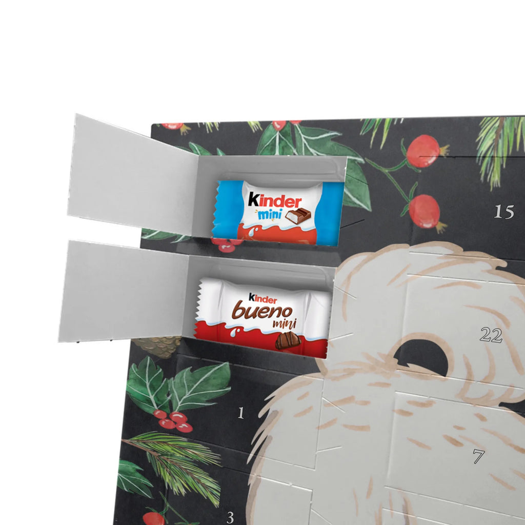 Adventskalender Maltipoo Moment weihnachtskalender schoko, adventskalender süßigkeiten, pralinen adventskalender, schokoladen kalender, Adventskalender, schoko weihnachtskalender, schokokalender, adventskalender mit schokolade, schokolade adventskalender, adventskalender mit pralinen, Weihnachtskalender Schokolade, Weihnachtskalender, adventskalender pralinen, Schokoladen Adventskalender, kalender schokolade, schoko kalender, Adventskalender Schokolade, advent kalender, Schoko Adventskalender, süßigkeiten adventskalender, adventskalender mit süßigkeiten, süßigkeiten kalender, schokoladenkalender, Welpe, Tierfreund, Hundebesitzer, Rassehund, Hunderasse, Hund, Schenken, Geschenk, Kreuzung, Maltipoo, Mischling