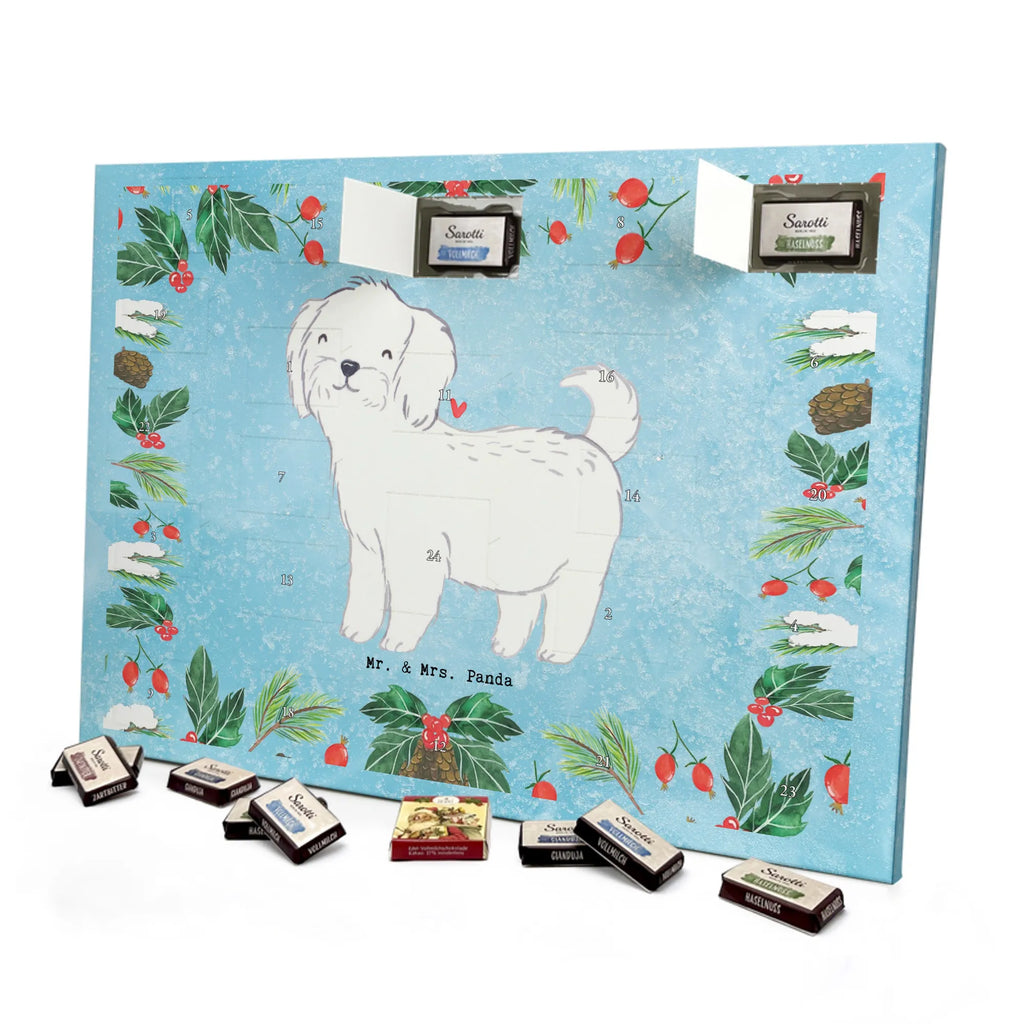  Maltańczyk Chwila szczeniak, miłośnik zwierząt, właściciel psa, pies rasowy, rasa psa, Pies, prezent, dawanie