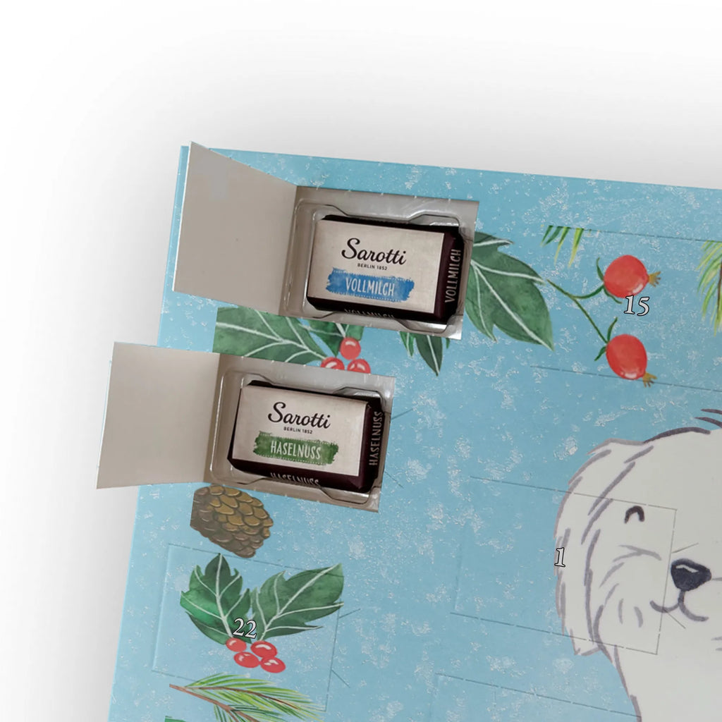  Maltańczyk Chwila szczeniak, miłośnik zwierząt, właściciel psa, pies rasowy, rasa psa, Pies, prezent, dawanie