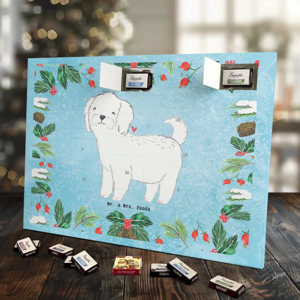  Maltańczyk Chwila szczeniak, miłośnik zwierząt, właściciel psa, pies rasowy, rasa psa, Pies, prezent, dawanie