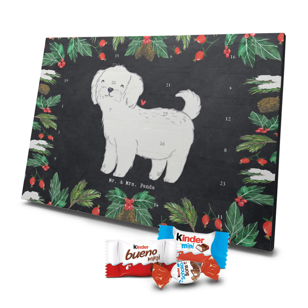  Maltańczyk Chwila szczeniak, miłośnik zwierząt, właściciel psa, pies rasowy, rasa psa, Pies, prezent, dawanie