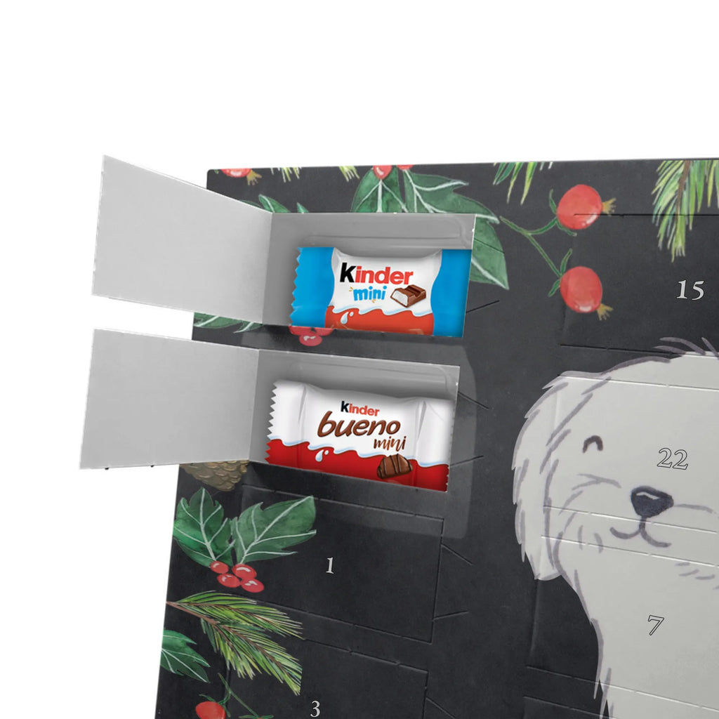  Maltańczyk Chwila szczeniak, miłośnik zwierząt, właściciel psa, pies rasowy, rasa psa, Pies, prezent, dawanie