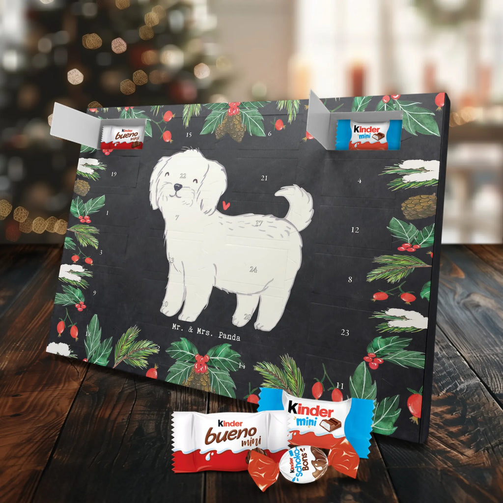  Maltańczyk Chwila szczeniak, miłośnik zwierząt, właściciel psa, pies rasowy, rasa psa, Pies, prezent, dawanie