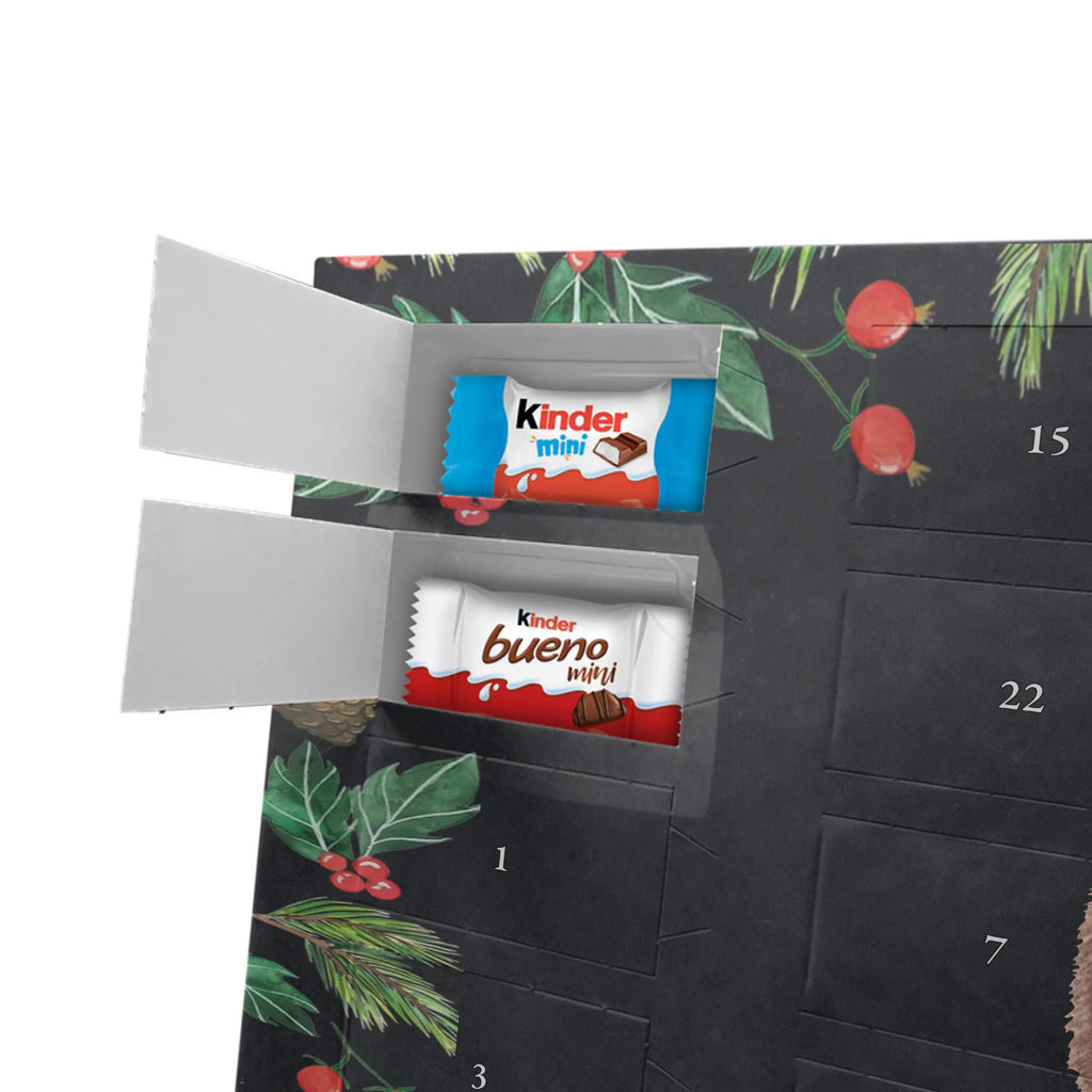 Chocolate advent calendar Hedgehog piece of cake gift ideas, gifts, small animals, good mood, cute, funny sayings, cute animal motives, hand drawn, special gifts, card, animal lover, birthday cake, invitation party, bake cake, food saying, baking gift, cake