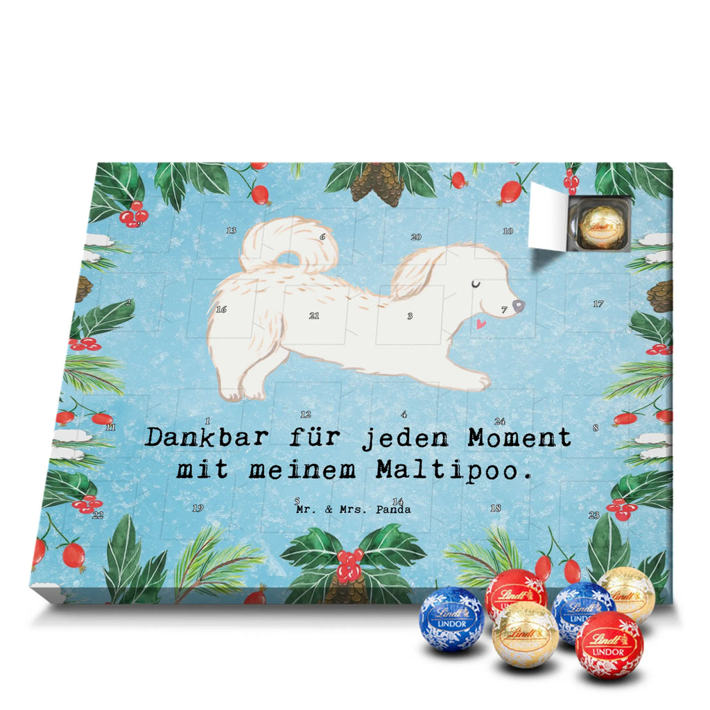 Adventskalender Maltipoo Moment weihnachtskalender schoko, adventskalender süßigkeiten, pralinen adventskalender, schokoladen kalender, Adventskalender, schoko weihnachtskalender, schokokalender, adventskalender mit schokolade, schokolade adventskalender, adventskalender mit pralinen, Weihnachtskalender Schokolade, Weihnachtskalender, adventskalender pralinen, Schokoladen Adventskalender, kalender schokolade, schoko kalender, Adventskalender Schokolade, advent kalender, Schoko Adventskalender, süßigkeiten adventskalender, adventskalender mit süßigkeiten, süßigkeiten kalender, schokoladenkalender, Welpe, Tierfreund, Hundebesitzer, Rassehund, Hunderasse, Hund, Schenken, Geschenk, Kreuzung, Maltipoo, Mischling