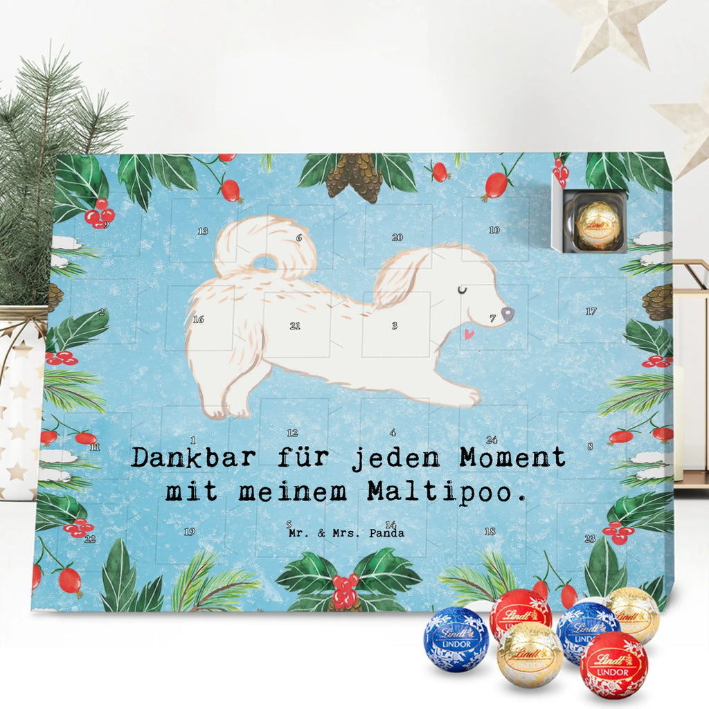 Adventskalender Maltipoo Moment weihnachtskalender schoko, adventskalender süßigkeiten, pralinen adventskalender, schokoladen kalender, Adventskalender, schoko weihnachtskalender, schokokalender, adventskalender mit schokolade, schokolade adventskalender, adventskalender mit pralinen, Weihnachtskalender Schokolade, Weihnachtskalender, adventskalender pralinen, Schokoladen Adventskalender, kalender schokolade, schoko kalender, Adventskalender Schokolade, advent kalender, Schoko Adventskalender, süßigkeiten adventskalender, adventskalender mit süßigkeiten, süßigkeiten kalender, schokoladenkalender, Welpe, Tierfreund, Hundebesitzer, Rassehund, Hunderasse, Hund, Schenken, Geschenk, Kreuzung, Maltipoo, Mischling