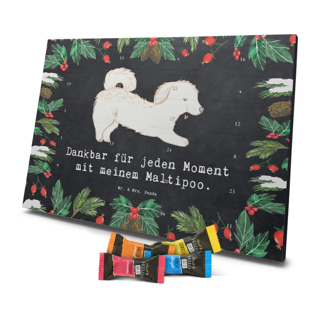 Adventskalender Maltipoo Moment weihnachtskalender schoko, adventskalender süßigkeiten, pralinen adventskalender, schokoladen kalender, Adventskalender, schoko weihnachtskalender, schokokalender, adventskalender mit schokolade, schokolade adventskalender, adventskalender mit pralinen, Weihnachtskalender Schokolade, Weihnachtskalender, adventskalender pralinen, Schokoladen Adventskalender, kalender schokolade, schoko kalender, Adventskalender Schokolade, advent kalender, Schoko Adventskalender, süßigkeiten adventskalender, adventskalender mit süßigkeiten, süßigkeiten kalender, schokoladenkalender, Welpe, Tierfreund, Hundebesitzer, Rassehund, Hunderasse, Hund, Schenken, Geschenk, Kreuzung, Maltipoo, Mischling