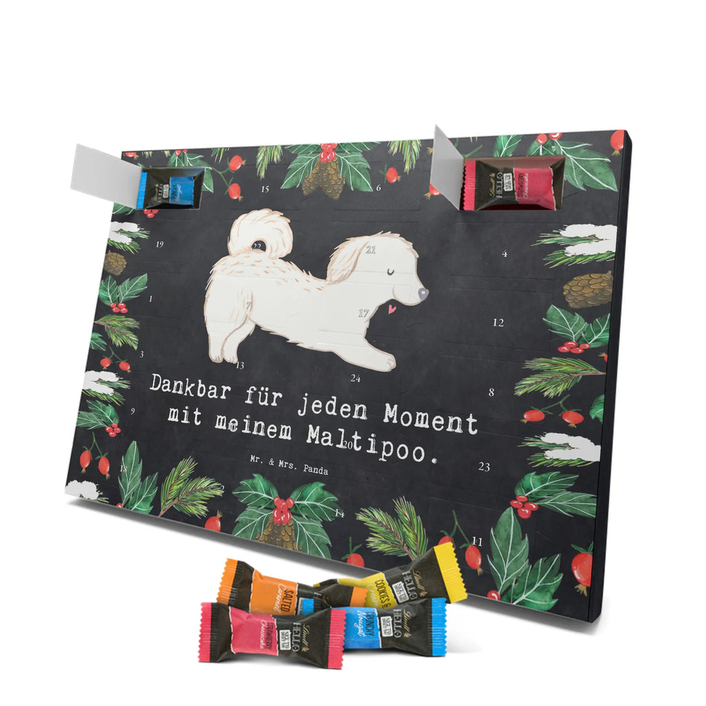 Adventskalender Maltipoo Moment weihnachtskalender schoko, adventskalender süßigkeiten, pralinen adventskalender, schokoladen kalender, Adventskalender, schoko weihnachtskalender, schokokalender, adventskalender mit schokolade, schokolade adventskalender, adventskalender mit pralinen, Weihnachtskalender Schokolade, Weihnachtskalender, adventskalender pralinen, Schokoladen Adventskalender, kalender schokolade, schoko kalender, Adventskalender Schokolade, advent kalender, Schoko Adventskalender, süßigkeiten adventskalender, adventskalender mit süßigkeiten, süßigkeiten kalender, schokoladenkalender, Welpe, Tierfreund, Hundebesitzer, Rassehund, Hunderasse, Hund, Schenken, Geschenk, Kreuzung, Maltipoo, Mischling