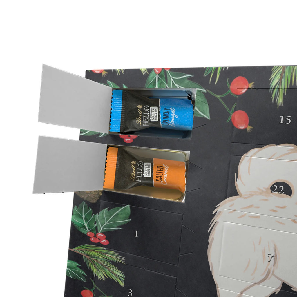 Adventskalender Maltipoo Moment weihnachtskalender schoko, adventskalender süßigkeiten, pralinen adventskalender, schokoladen kalender, Adventskalender, schoko weihnachtskalender, schokokalender, adventskalender mit schokolade, schokolade adventskalender, adventskalender mit pralinen, Weihnachtskalender Schokolade, Weihnachtskalender, adventskalender pralinen, Schokoladen Adventskalender, kalender schokolade, schoko kalender, Adventskalender Schokolade, advent kalender, Schoko Adventskalender, süßigkeiten adventskalender, adventskalender mit süßigkeiten, süßigkeiten kalender, schokoladenkalender, Welpe, Tierfreund, Hundebesitzer, Rassehund, Hunderasse, Hund, Schenken, Geschenk, Kreuzung, Maltipoo, Mischling