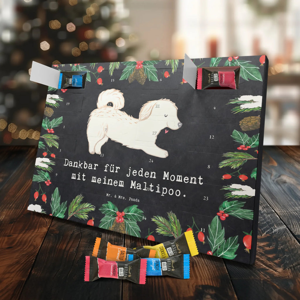 Adventskalender Maltipoo Moment weihnachtskalender schoko, adventskalender süßigkeiten, pralinen adventskalender, schokoladen kalender, Adventskalender, schoko weihnachtskalender, schokokalender, adventskalender mit schokolade, schokolade adventskalender, adventskalender mit pralinen, Weihnachtskalender Schokolade, Weihnachtskalender, adventskalender pralinen, Schokoladen Adventskalender, kalender schokolade, schoko kalender, Adventskalender Schokolade, advent kalender, Schoko Adventskalender, süßigkeiten adventskalender, adventskalender mit süßigkeiten, süßigkeiten kalender, schokoladenkalender, Welpe, Tierfreund, Hundebesitzer, Rassehund, Hunderasse, Hund, Schenken, Geschenk, Kreuzung, Maltipoo, Mischling