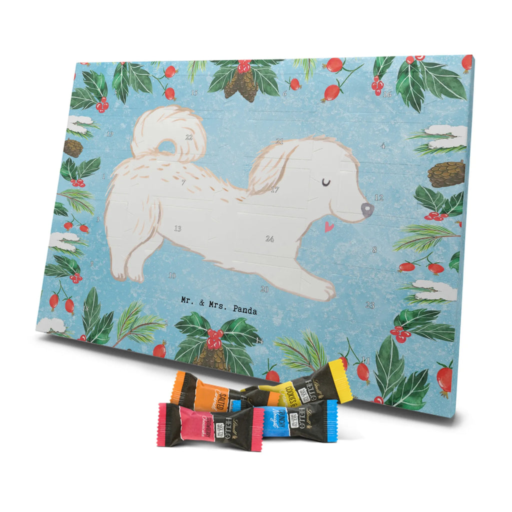 Adventskalender Maltipoo Moment weihnachtskalender schoko, adventskalender süßigkeiten, pralinen adventskalender, schokoladen kalender, Adventskalender, schoko weihnachtskalender, schokokalender, adventskalender mit schokolade, schokolade adventskalender, adventskalender mit pralinen, Weihnachtskalender Schokolade, Weihnachtskalender, adventskalender pralinen, Schokoladen Adventskalender, kalender schokolade, schoko kalender, Adventskalender Schokolade, advent kalender, Schoko Adventskalender, süßigkeiten adventskalender, adventskalender mit süßigkeiten, süßigkeiten kalender, schokoladenkalender, Welpe, Tierfreund, Hundebesitzer, Rassehund, Hunderasse, Hund, Schenken, Geschenk, Kreuzung, Maltipoo, Mischling