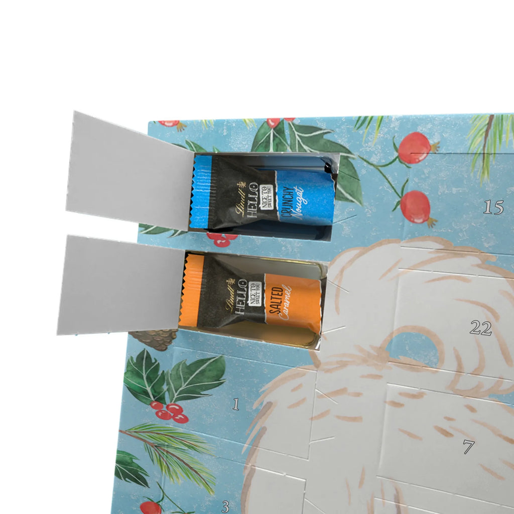 Adventskalender Maltipoo Moment weihnachtskalender schoko, adventskalender süßigkeiten, pralinen adventskalender, schokoladen kalender, Adventskalender, schoko weihnachtskalender, schokokalender, adventskalender mit schokolade, schokolade adventskalender, adventskalender mit pralinen, Weihnachtskalender Schokolade, Weihnachtskalender, adventskalender pralinen, Schokoladen Adventskalender, kalender schokolade, schoko kalender, Adventskalender Schokolade, advent kalender, Schoko Adventskalender, süßigkeiten adventskalender, adventskalender mit süßigkeiten, süßigkeiten kalender, schokoladenkalender, Welpe, Tierfreund, Hundebesitzer, Rassehund, Hunderasse, Hund, Schenken, Geschenk, Kreuzung, Maltipoo, Mischling