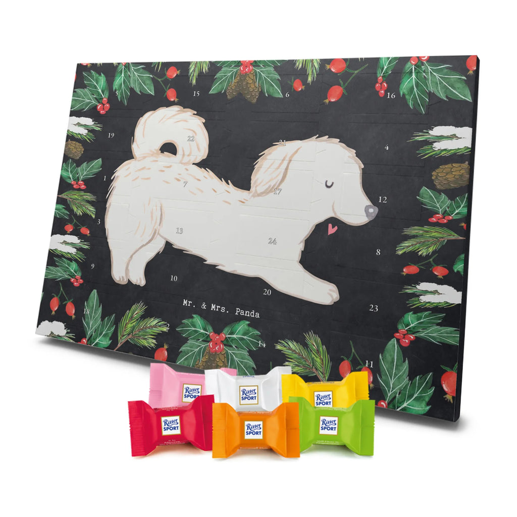 Adventskalender Maltipoo Moment weihnachtskalender schoko, adventskalender süßigkeiten, pralinen adventskalender, schokoladen kalender, Adventskalender, schoko weihnachtskalender, schokokalender, adventskalender mit schokolade, schokolade adventskalender, adventskalender mit pralinen, Weihnachtskalender Schokolade, Weihnachtskalender, adventskalender pralinen, Schokoladen Adventskalender, kalender schokolade, schoko kalender, Adventskalender Schokolade, advent kalender, Schoko Adventskalender, süßigkeiten adventskalender, adventskalender mit süßigkeiten, süßigkeiten kalender, schokoladenkalender, Welpe, Tierfreund, Hundebesitzer, Rassehund, Hunderasse, Hund, Schenken, Geschenk, Kreuzung, Maltipoo, Mischling