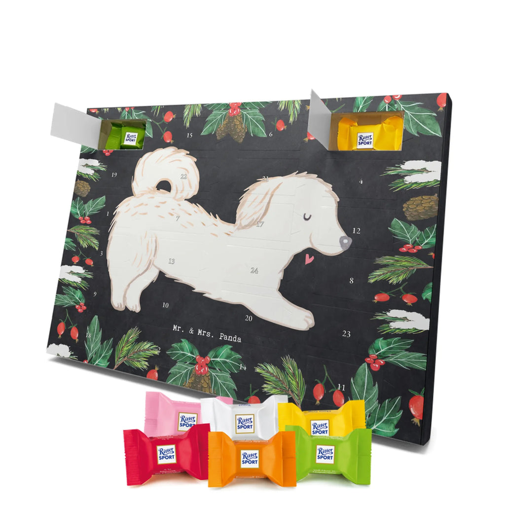Adventskalender Maltipoo Moment weihnachtskalender schoko, adventskalender süßigkeiten, pralinen adventskalender, schokoladen kalender, Adventskalender, schoko weihnachtskalender, schokokalender, adventskalender mit schokolade, schokolade adventskalender, adventskalender mit pralinen, Weihnachtskalender Schokolade, Weihnachtskalender, adventskalender pralinen, Schokoladen Adventskalender, kalender schokolade, schoko kalender, Adventskalender Schokolade, advent kalender, Schoko Adventskalender, süßigkeiten adventskalender, adventskalender mit süßigkeiten, süßigkeiten kalender, schokoladenkalender, Welpe, Tierfreund, Hundebesitzer, Rassehund, Hunderasse, Hund, Schenken, Geschenk, Kreuzung, Maltipoo, Mischling