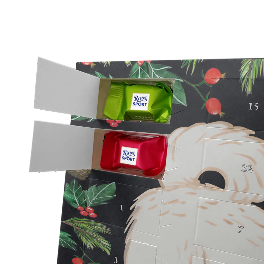 Adventskalender Maltipoo Moment weihnachtskalender schoko, adventskalender süßigkeiten, pralinen adventskalender, schokoladen kalender, Adventskalender, schoko weihnachtskalender, schokokalender, adventskalender mit schokolade, schokolade adventskalender, adventskalender mit pralinen, Weihnachtskalender Schokolade, Weihnachtskalender, adventskalender pralinen, Schokoladen Adventskalender, kalender schokolade, schoko kalender, Adventskalender Schokolade, advent kalender, Schoko Adventskalender, süßigkeiten adventskalender, adventskalender mit süßigkeiten, süßigkeiten kalender, schokoladenkalender, Welpe, Tierfreund, Hundebesitzer, Rassehund, Hunderasse, Hund, Schenken, Geschenk, Kreuzung, Maltipoo, Mischling