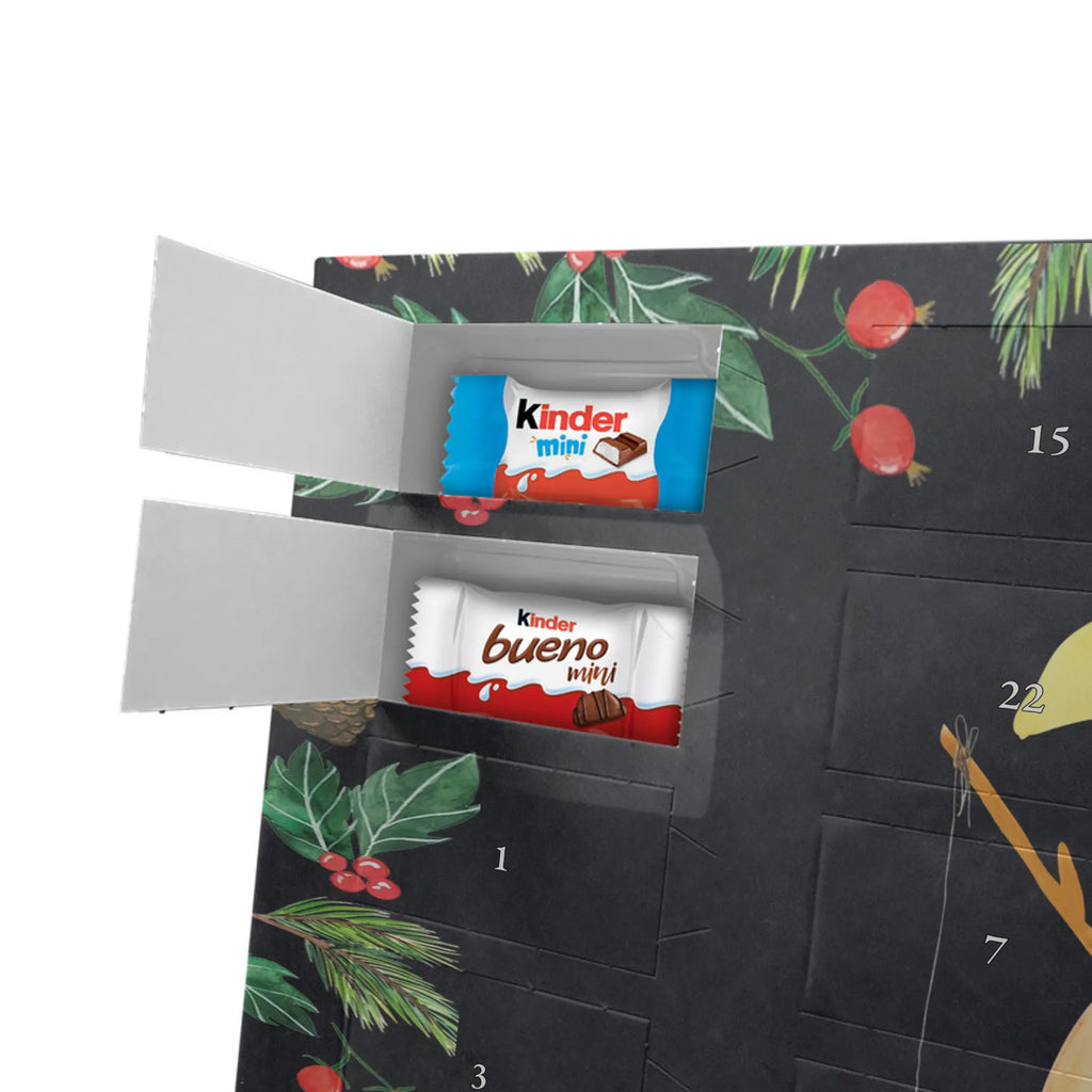  pingwin księżyc Pinguin