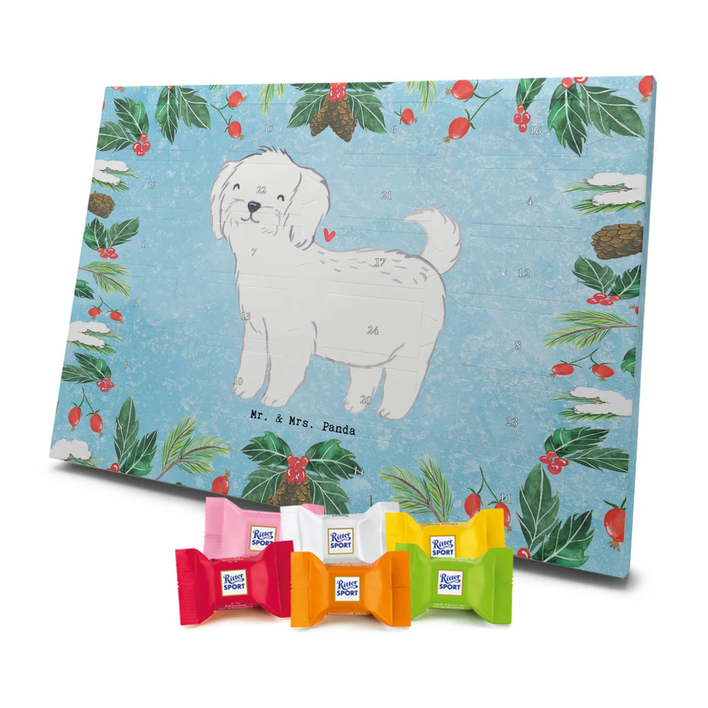  Maltańczyk Chwila szczeniak, miłośnik zwierząt, właściciel psa, pies rasowy, rasa psa, Pies, prezent, dawanie