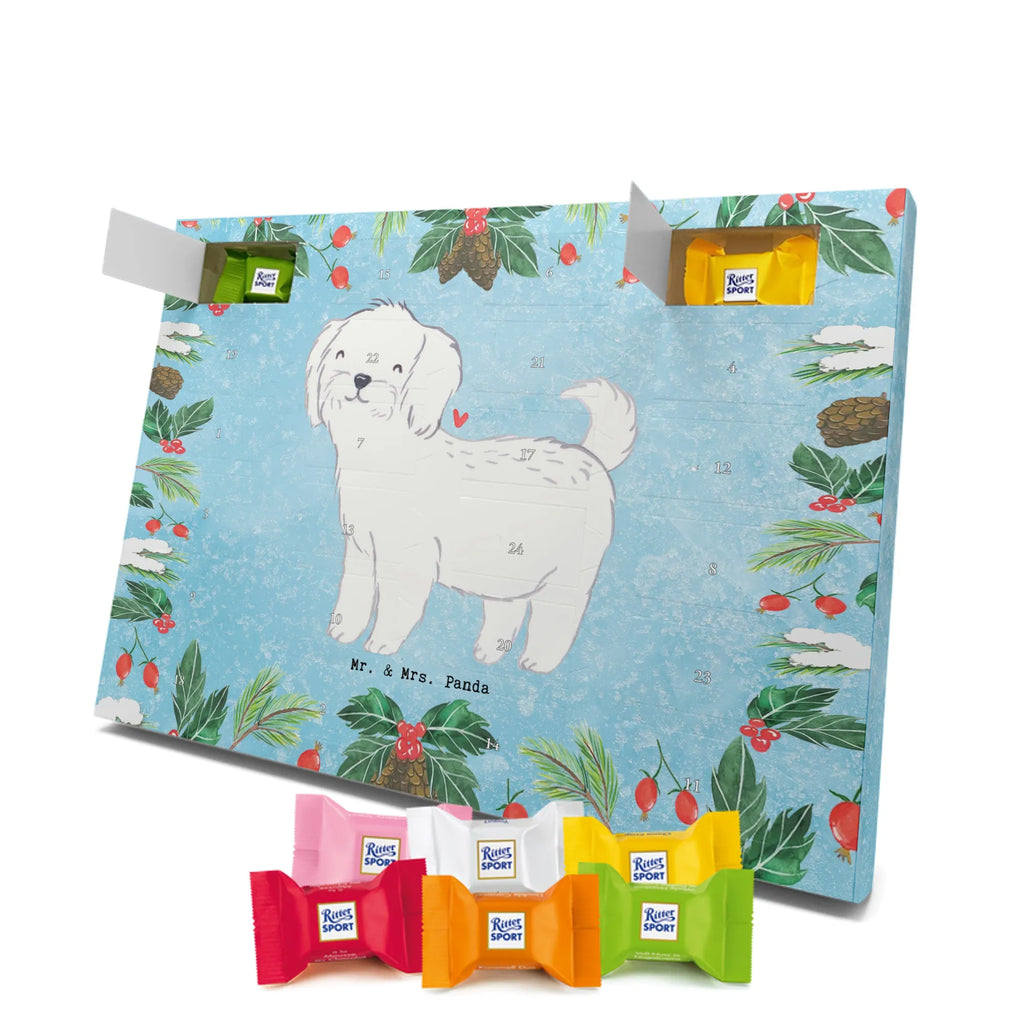  Maltańczyk Chwila szczeniak, miłośnik zwierząt, właściciel psa, pies rasowy, rasa psa, Pies, prezent, dawanie