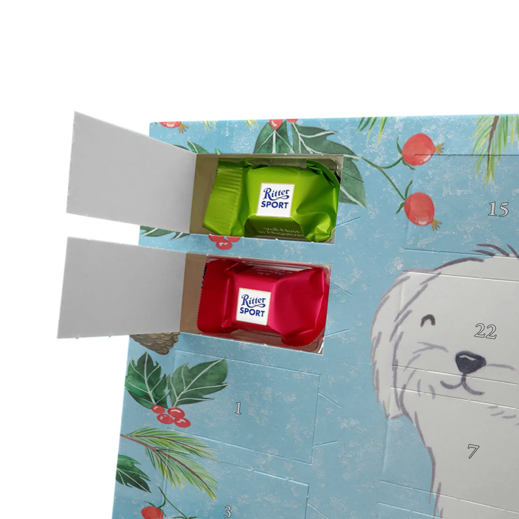  Maltańczyk Chwila szczeniak, miłośnik zwierząt, właściciel psa, pies rasowy, rasa psa, Pies, prezent, dawanie