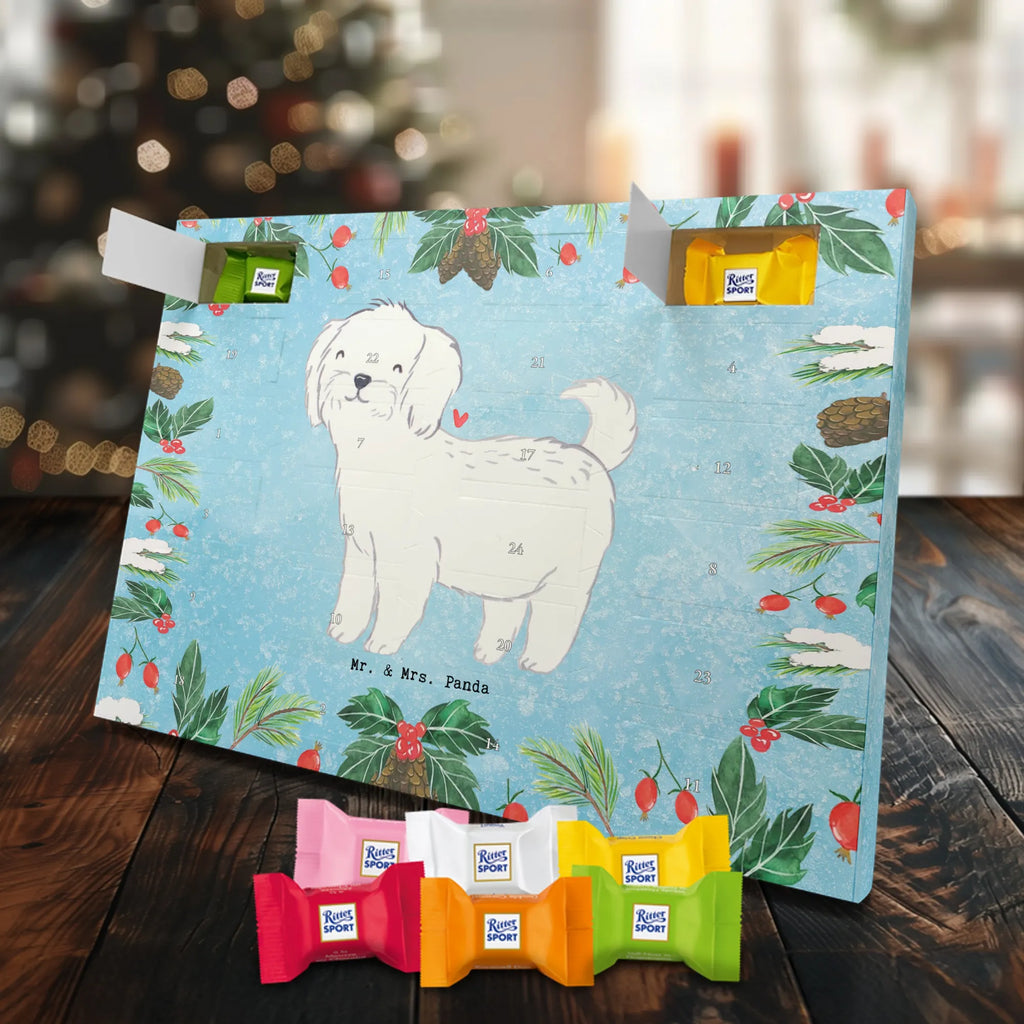  Maltańczyk Chwila szczeniak, miłośnik zwierząt, właściciel psa, pies rasowy, rasa psa, Pies, prezent, dawanie